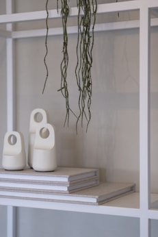 White vases and books on a shelf