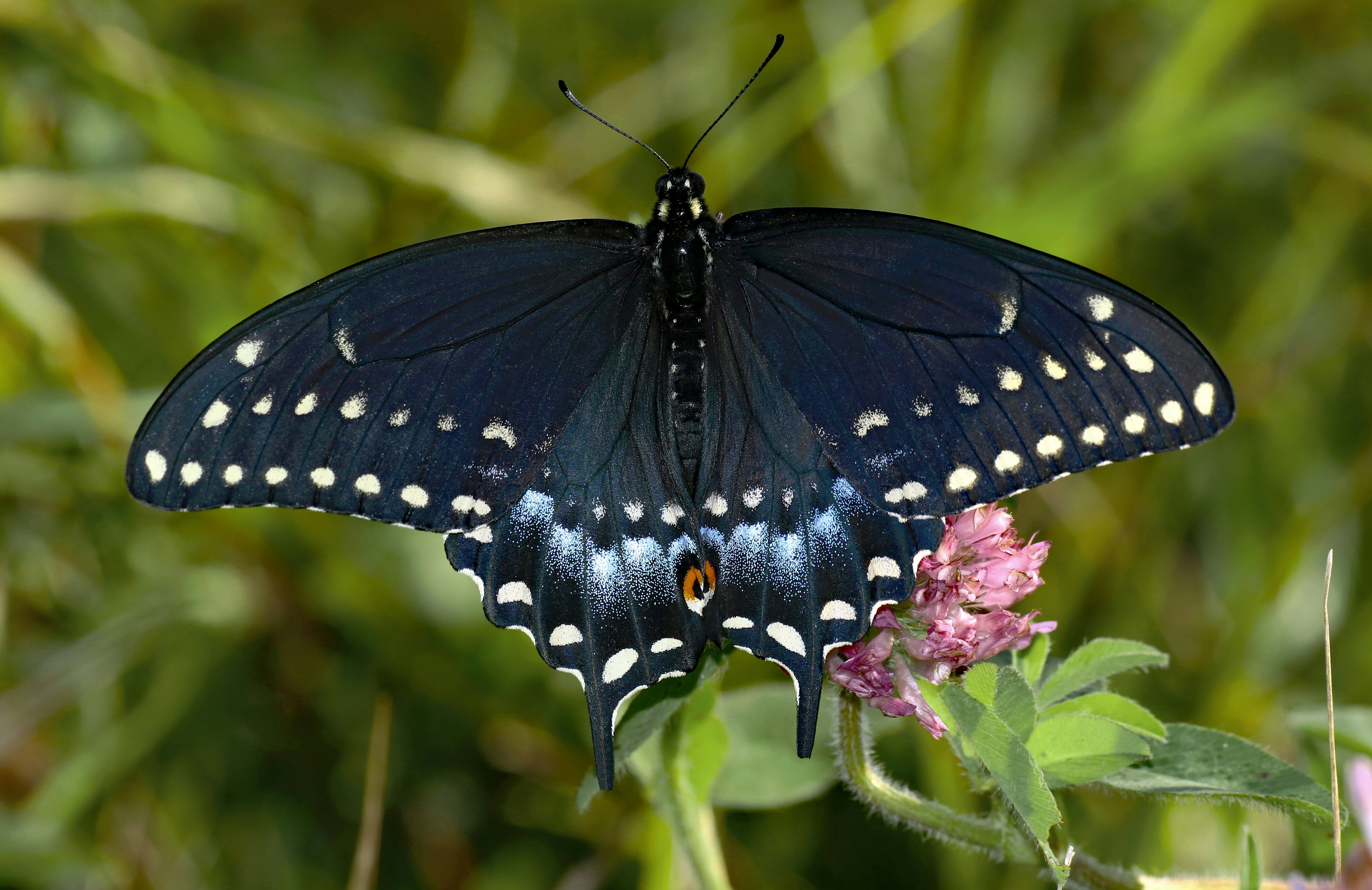 Photo by telliottmbamsc