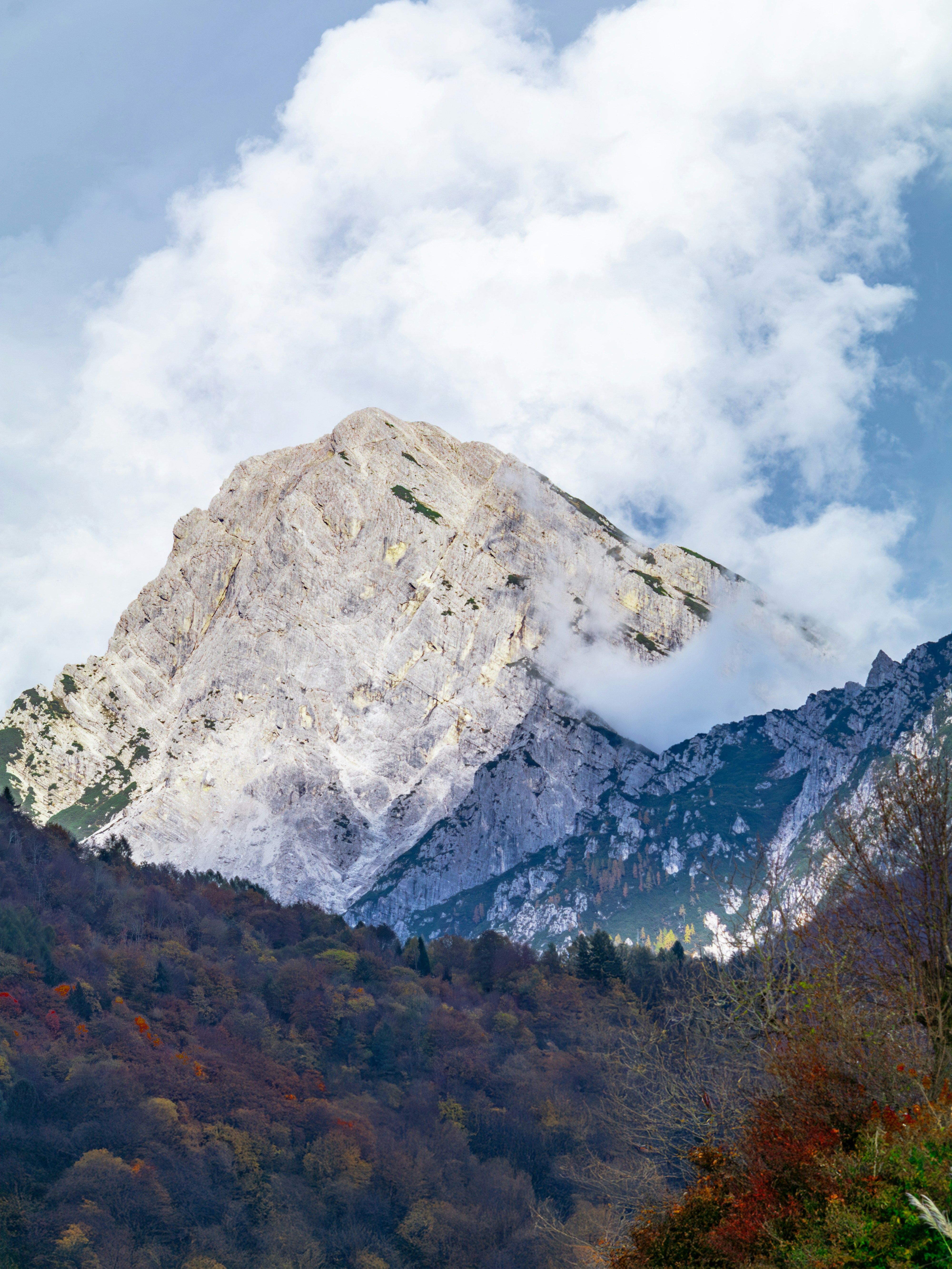 Photo by merlin_photo