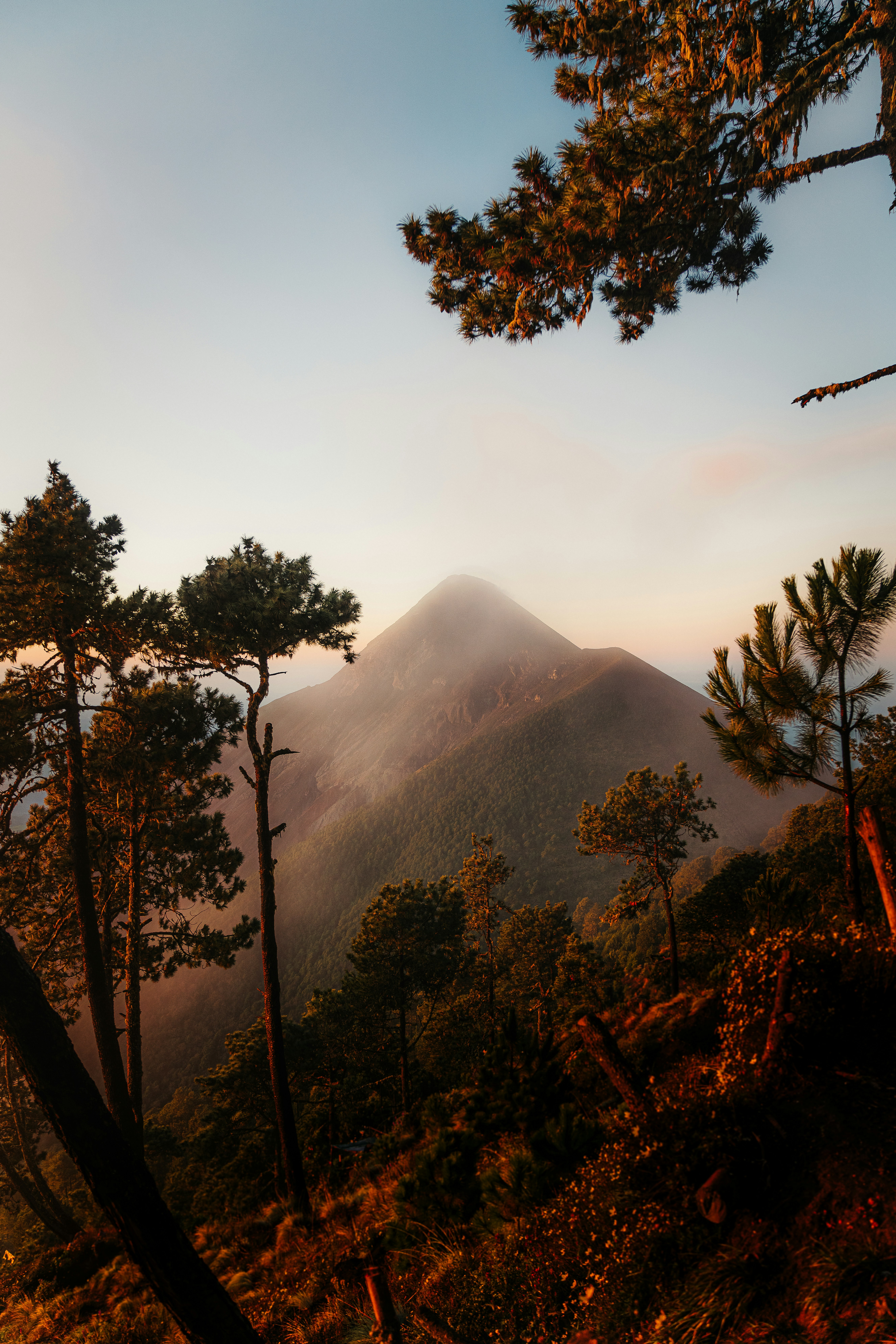 Photo by maartenvnmlct