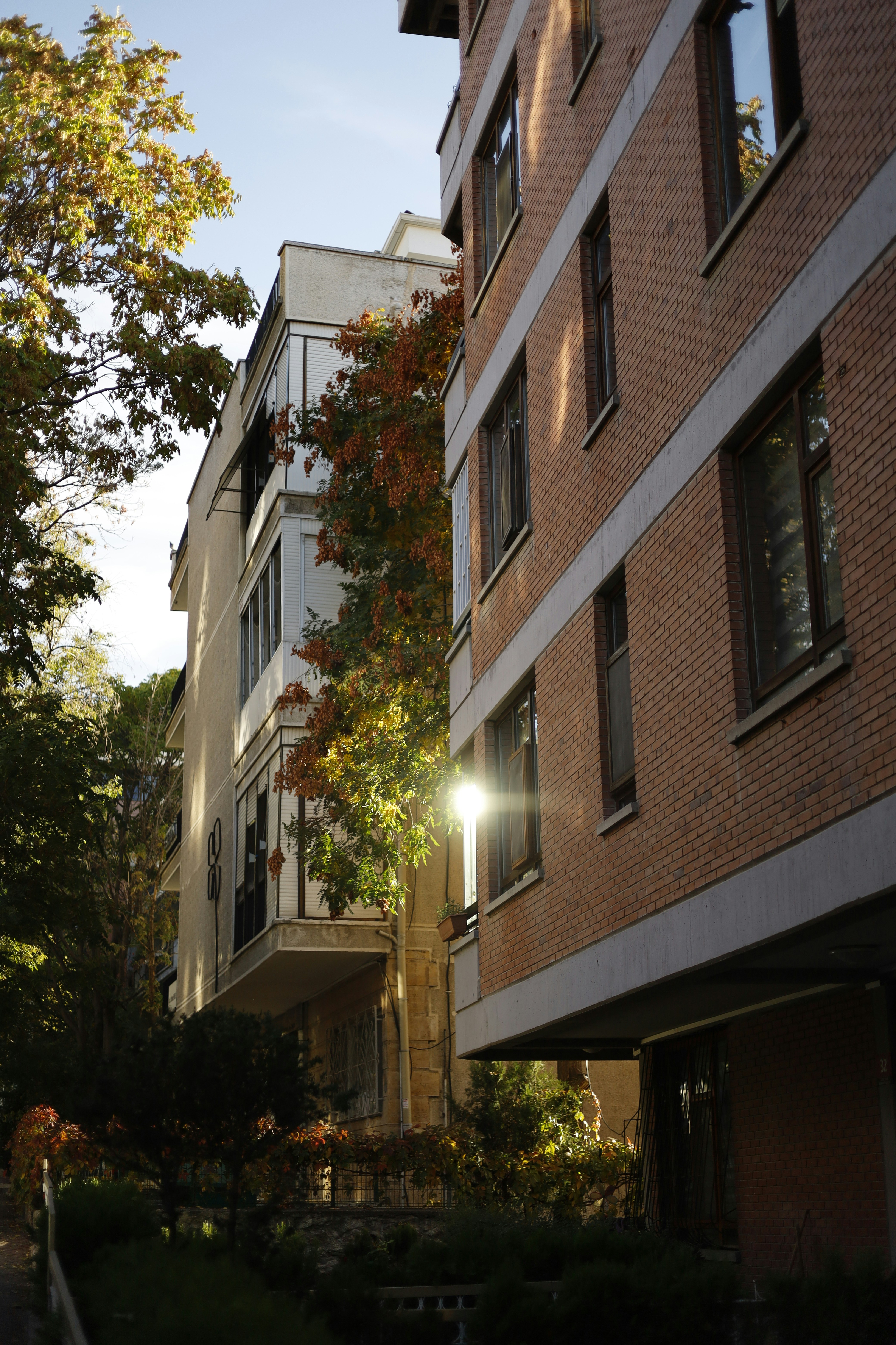 Photo by elifkorkmaz