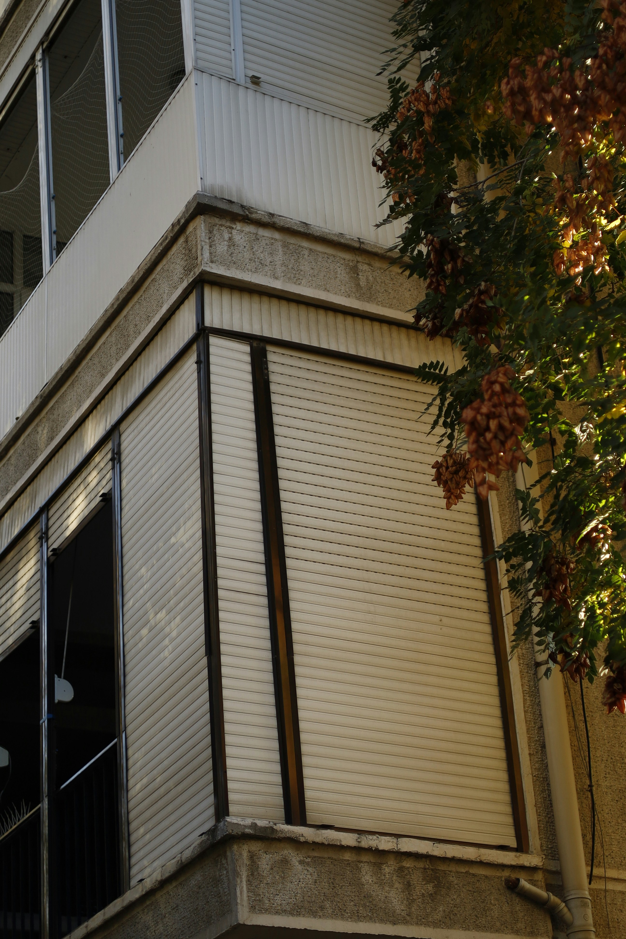 Photo by elifkorkmaz