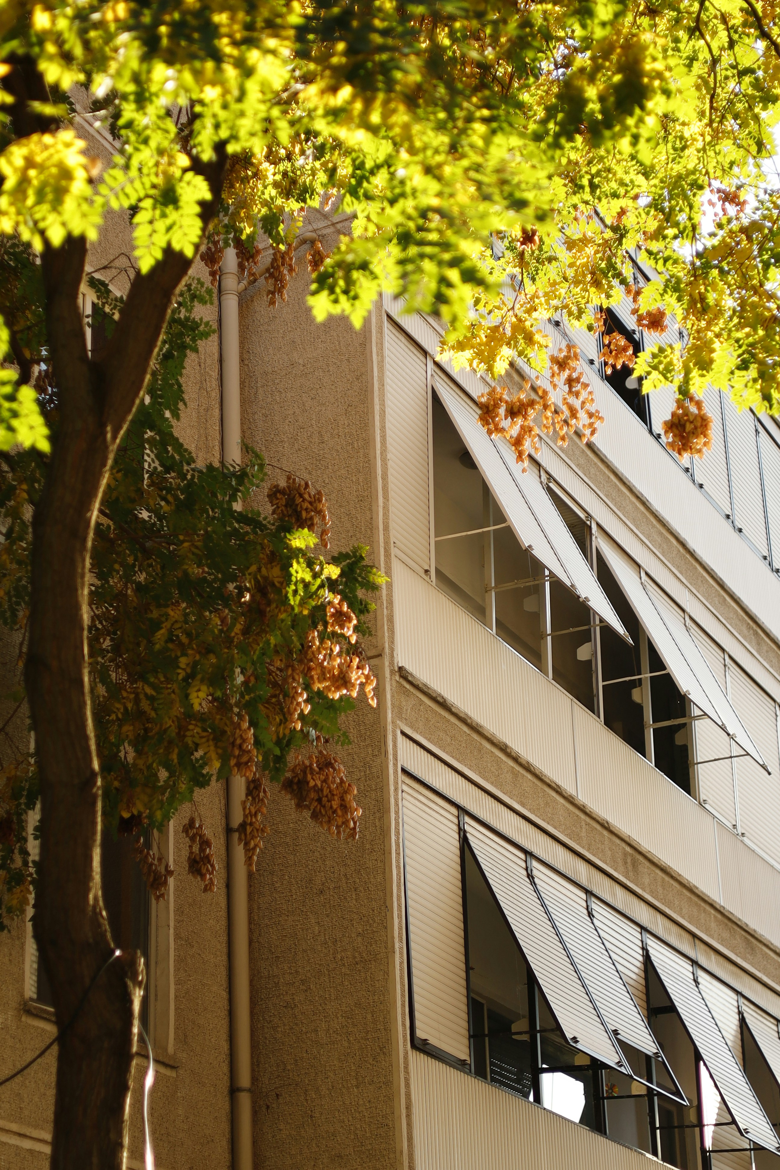 Photo by elifkorkmaz