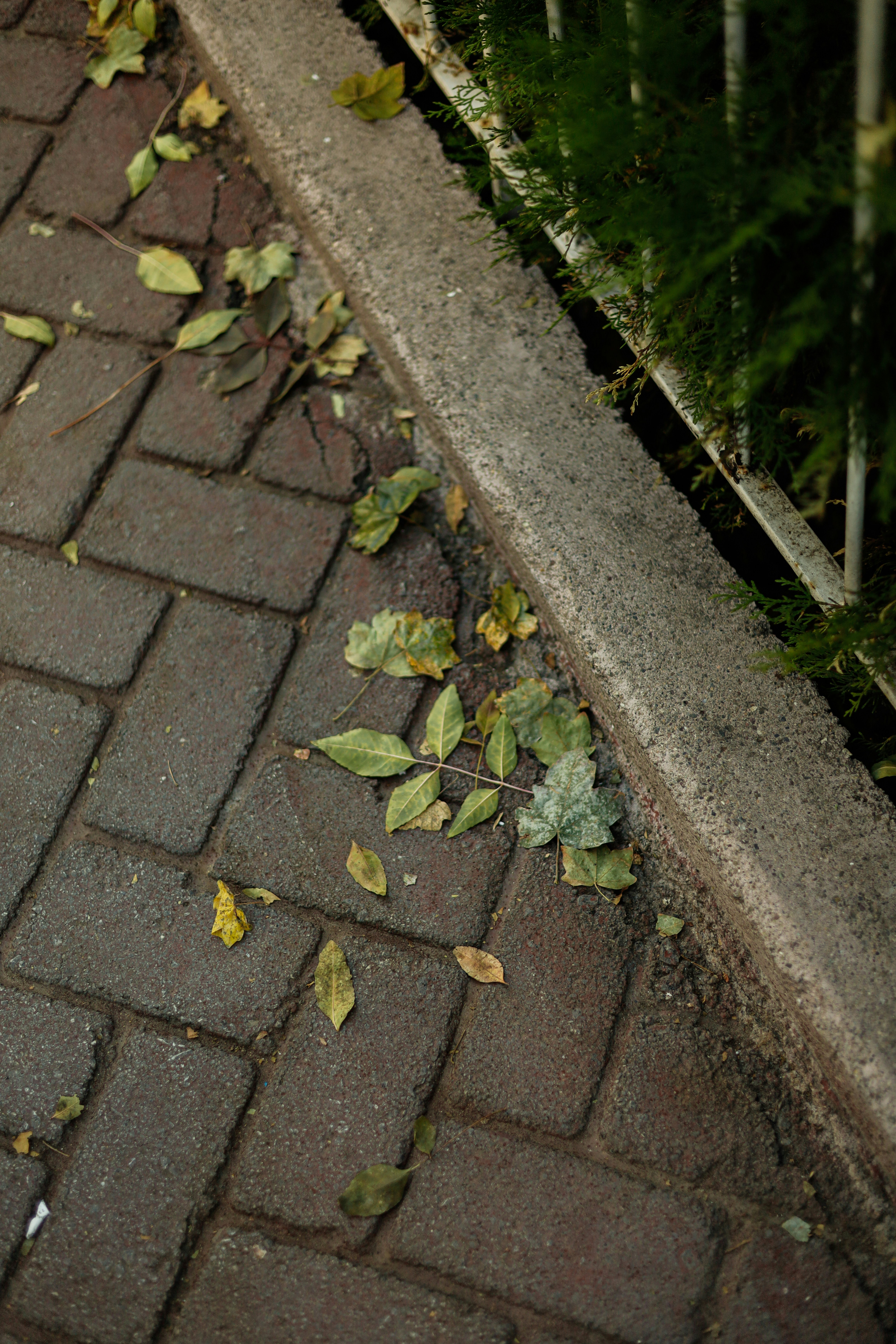 pressure washing curb appeal