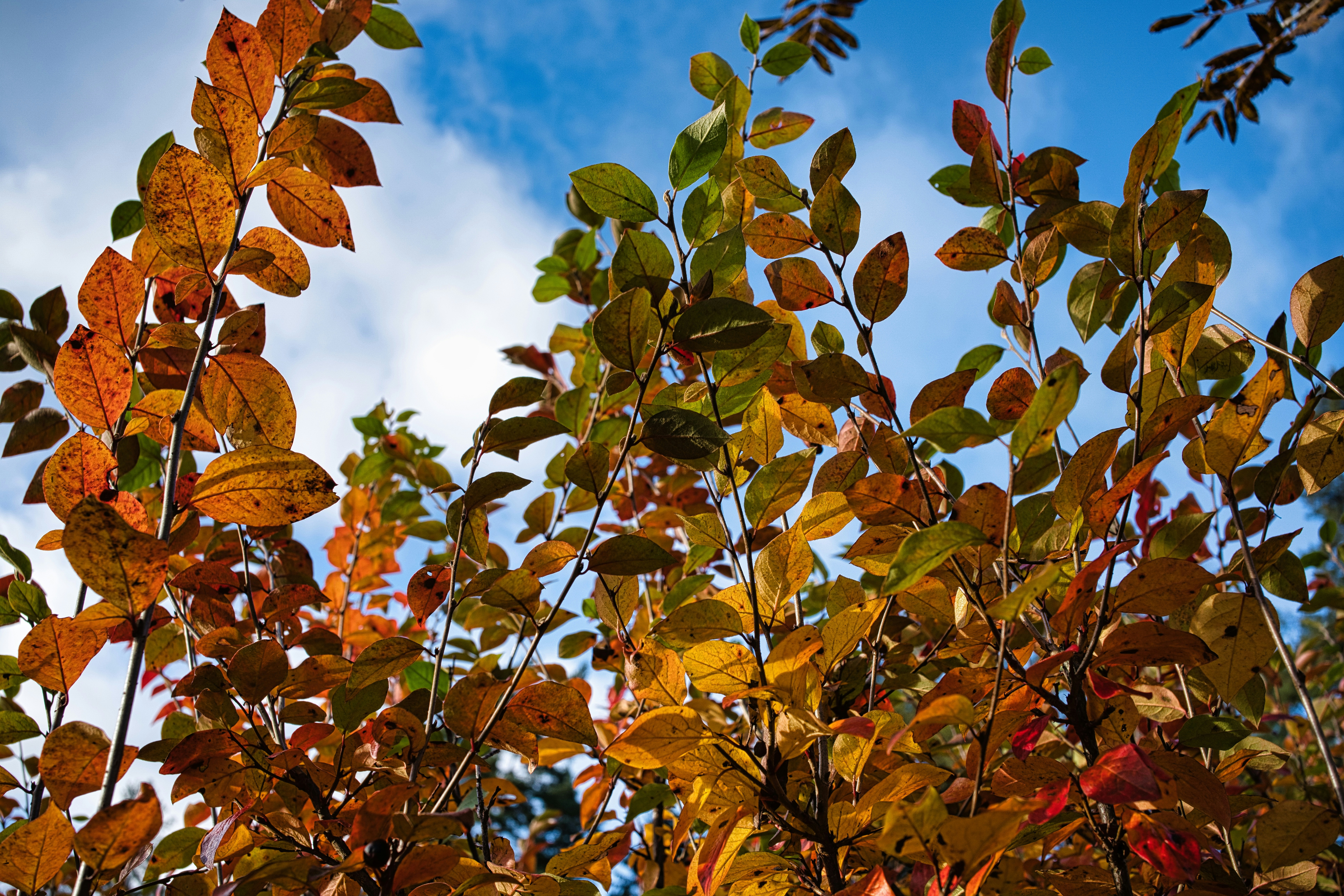 Photo by maksimshutov