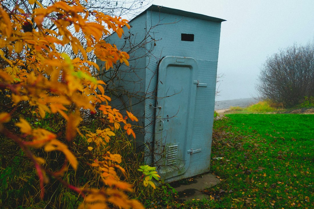 wooden garden shed exterior