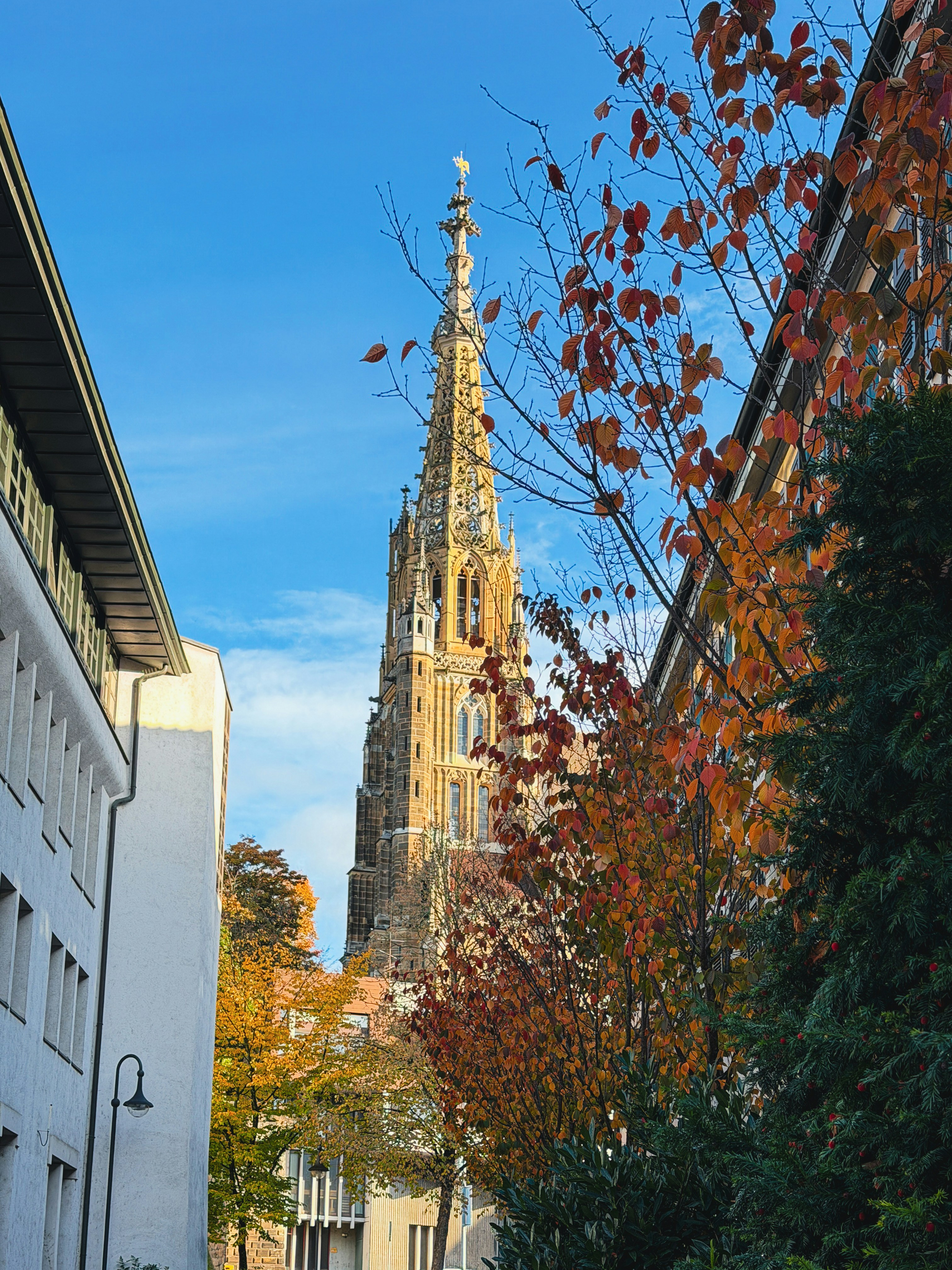 Photo by wasimulhossain