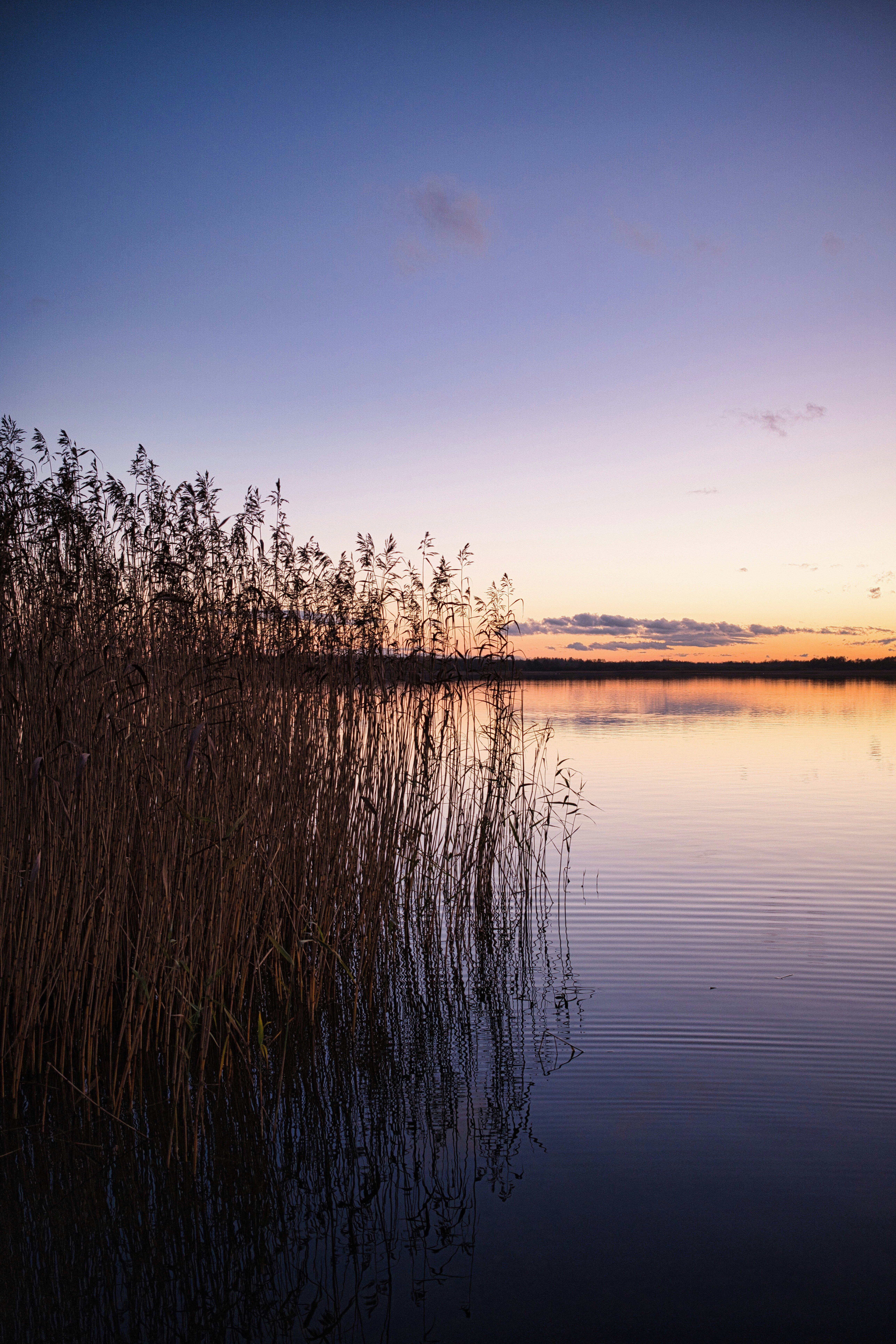 Photo by maksimshutov