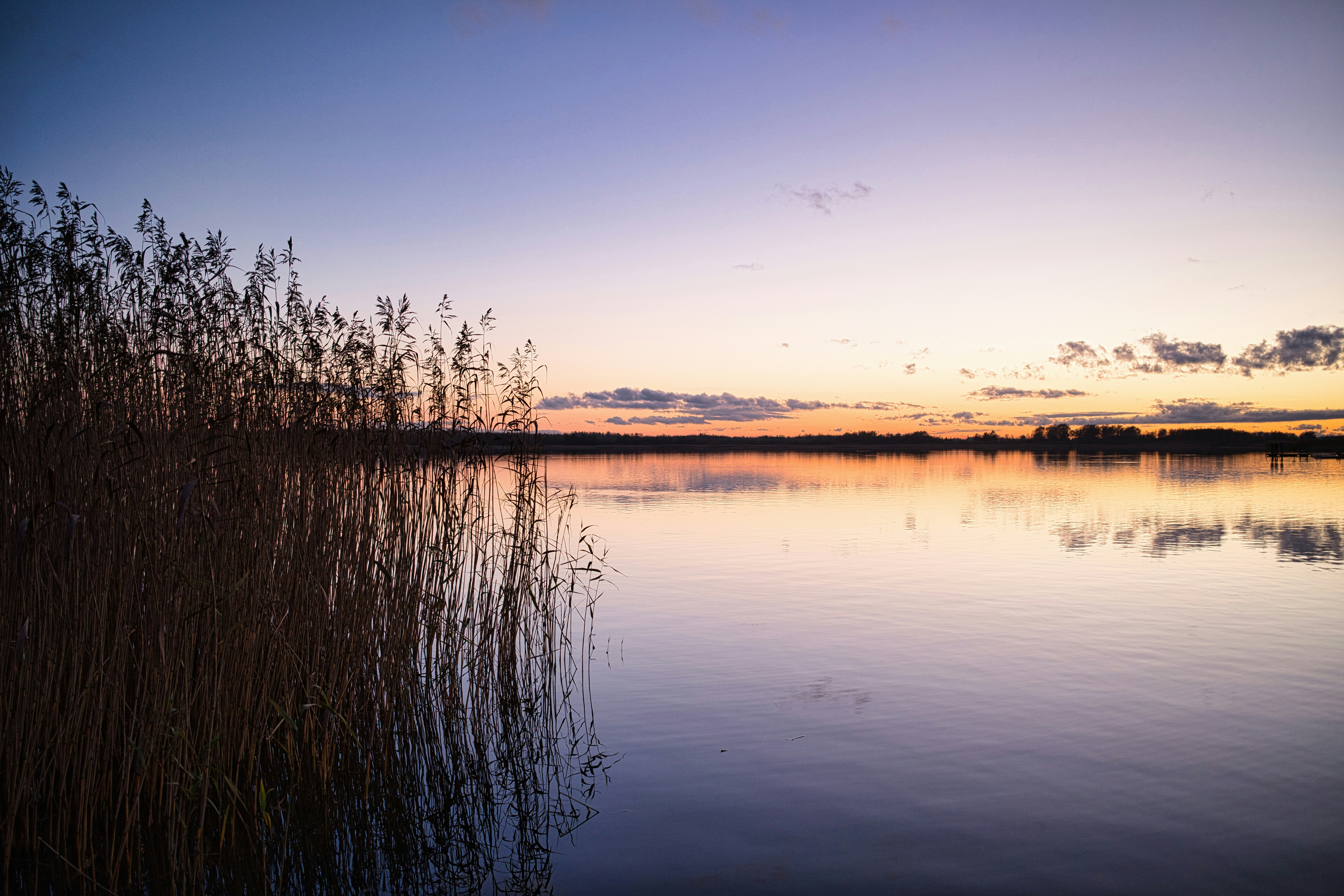 Photo by maksimshutov