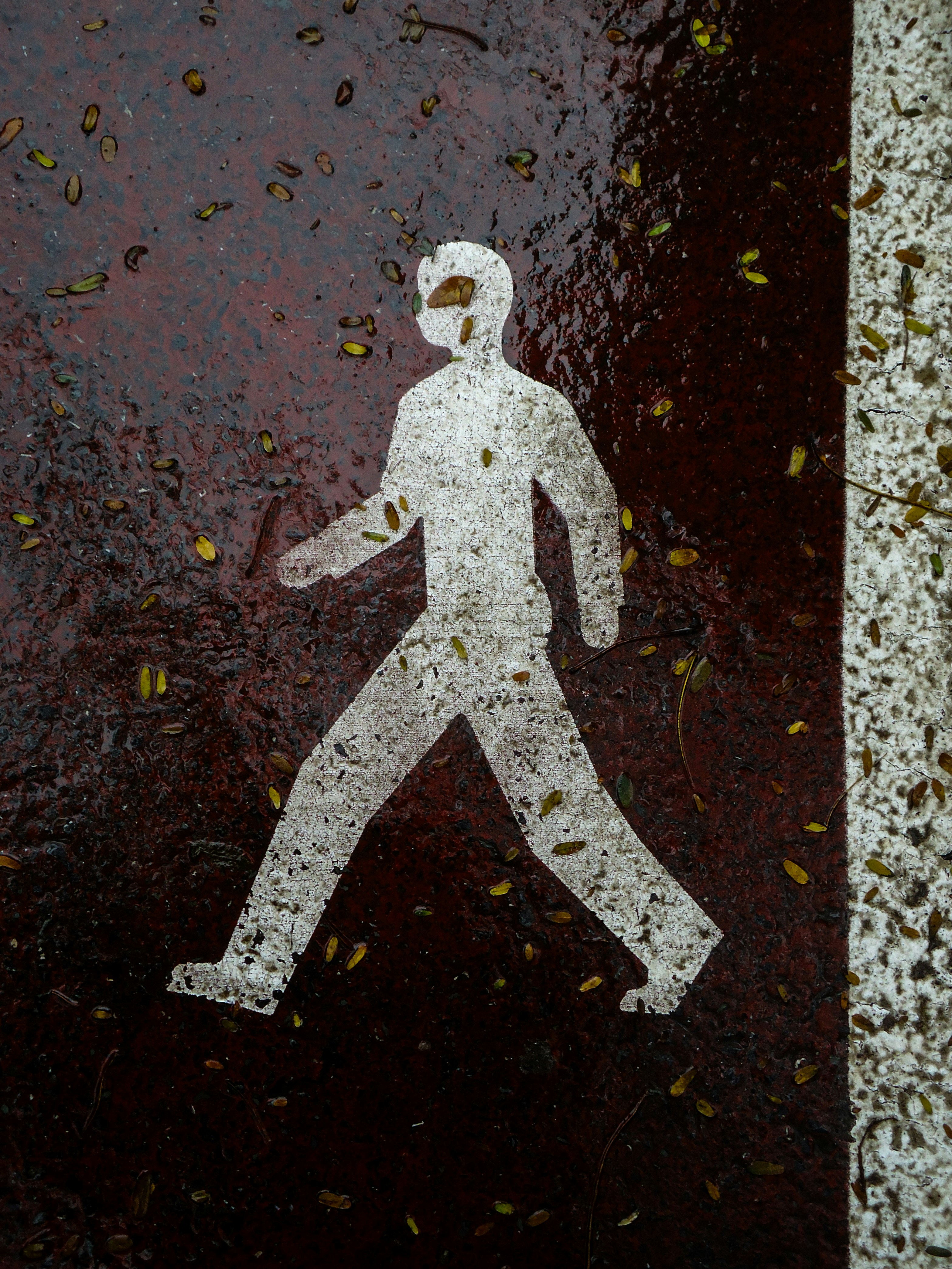 Photo by gurphotogallery