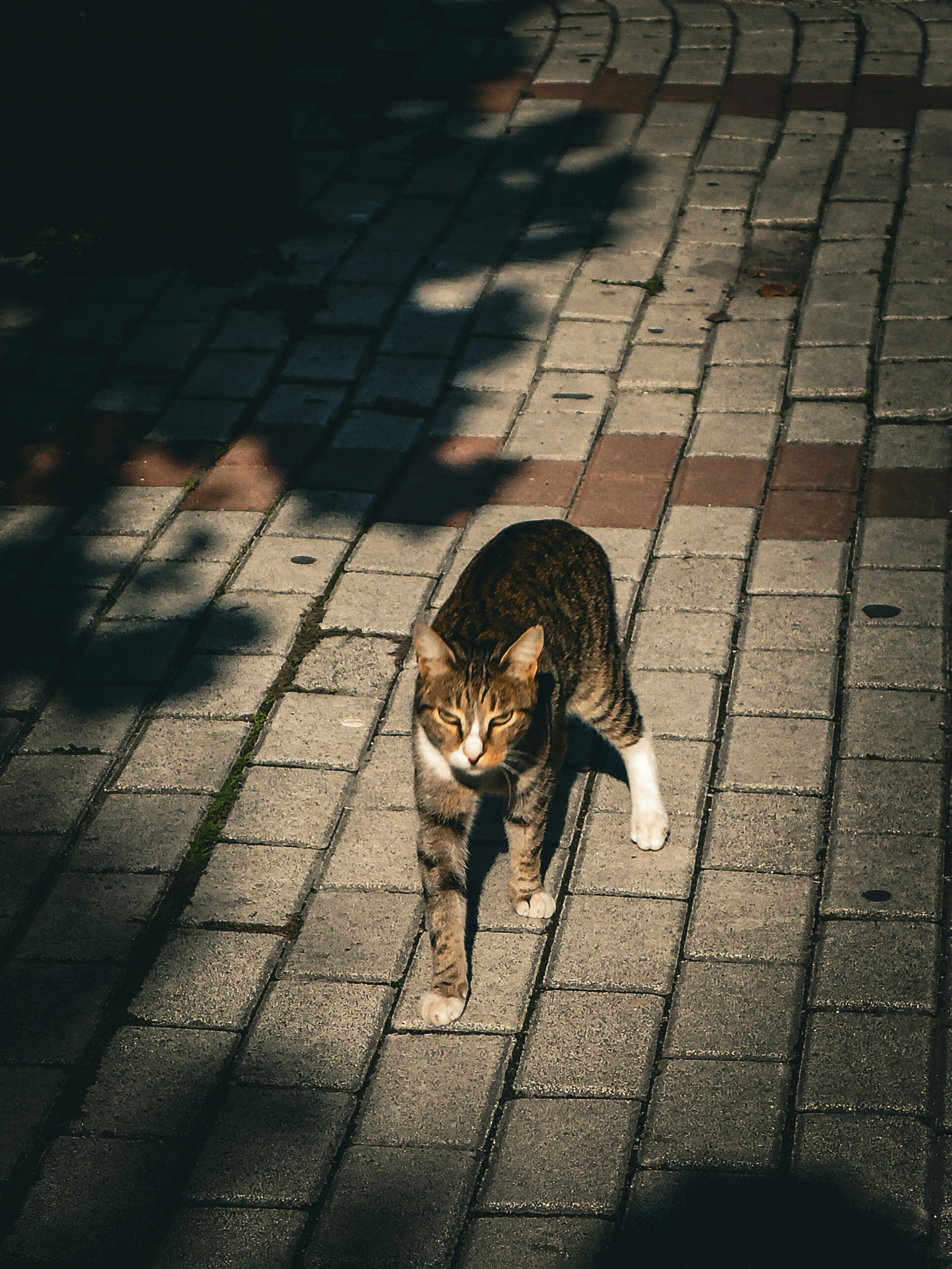 Photo by gurphotogallery