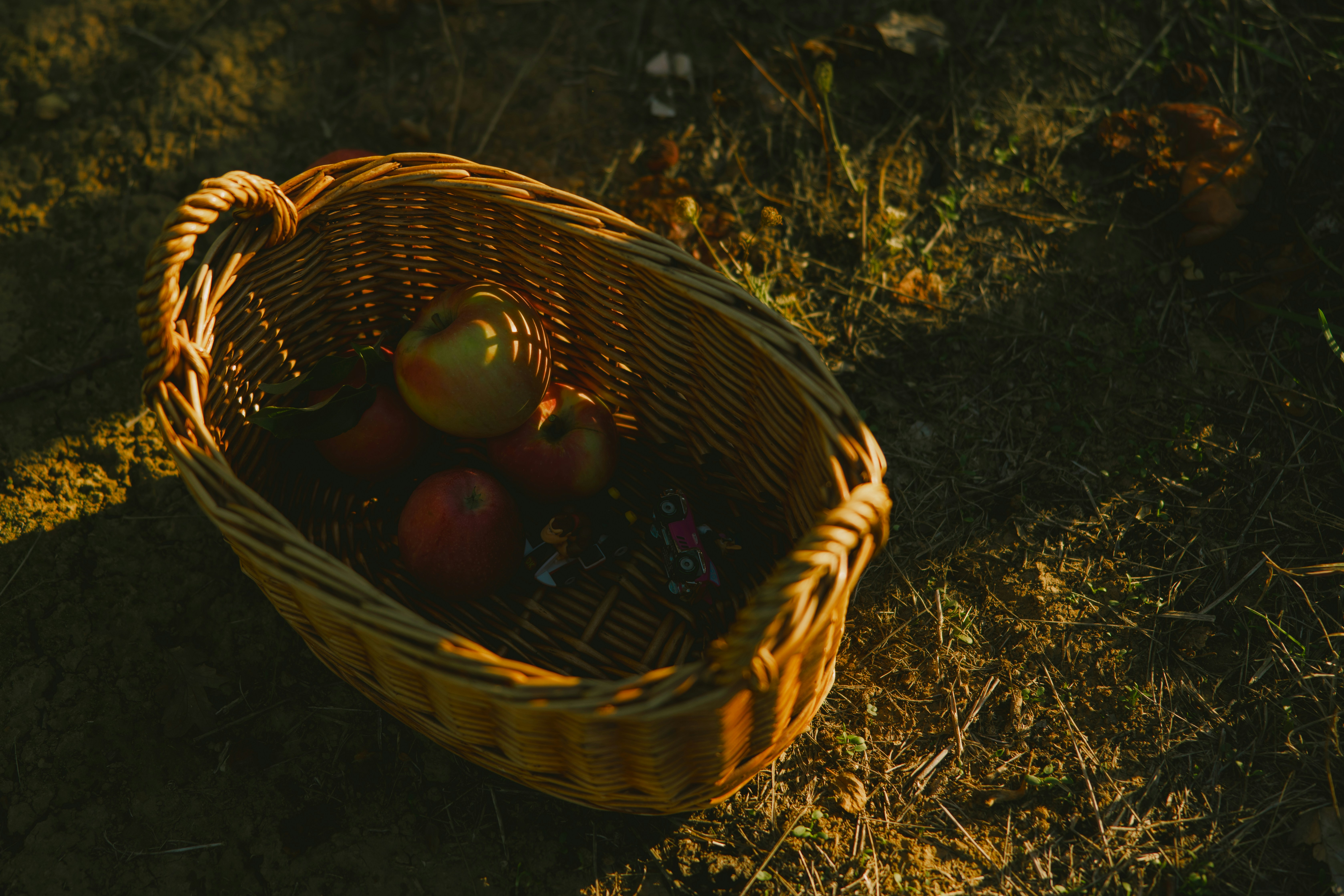 Kaiseki dinner with multiple small dishes