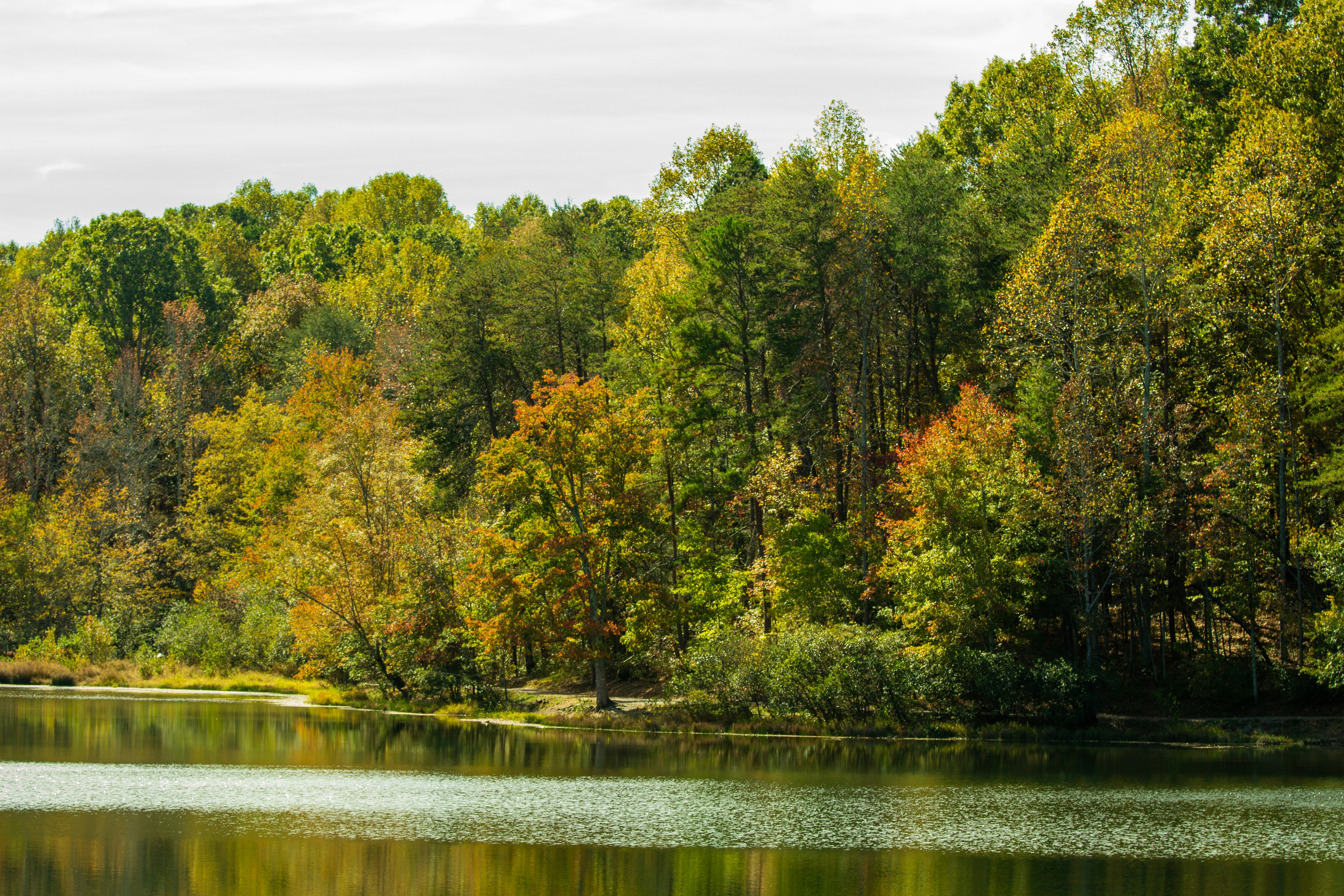 Photo by frontspace101