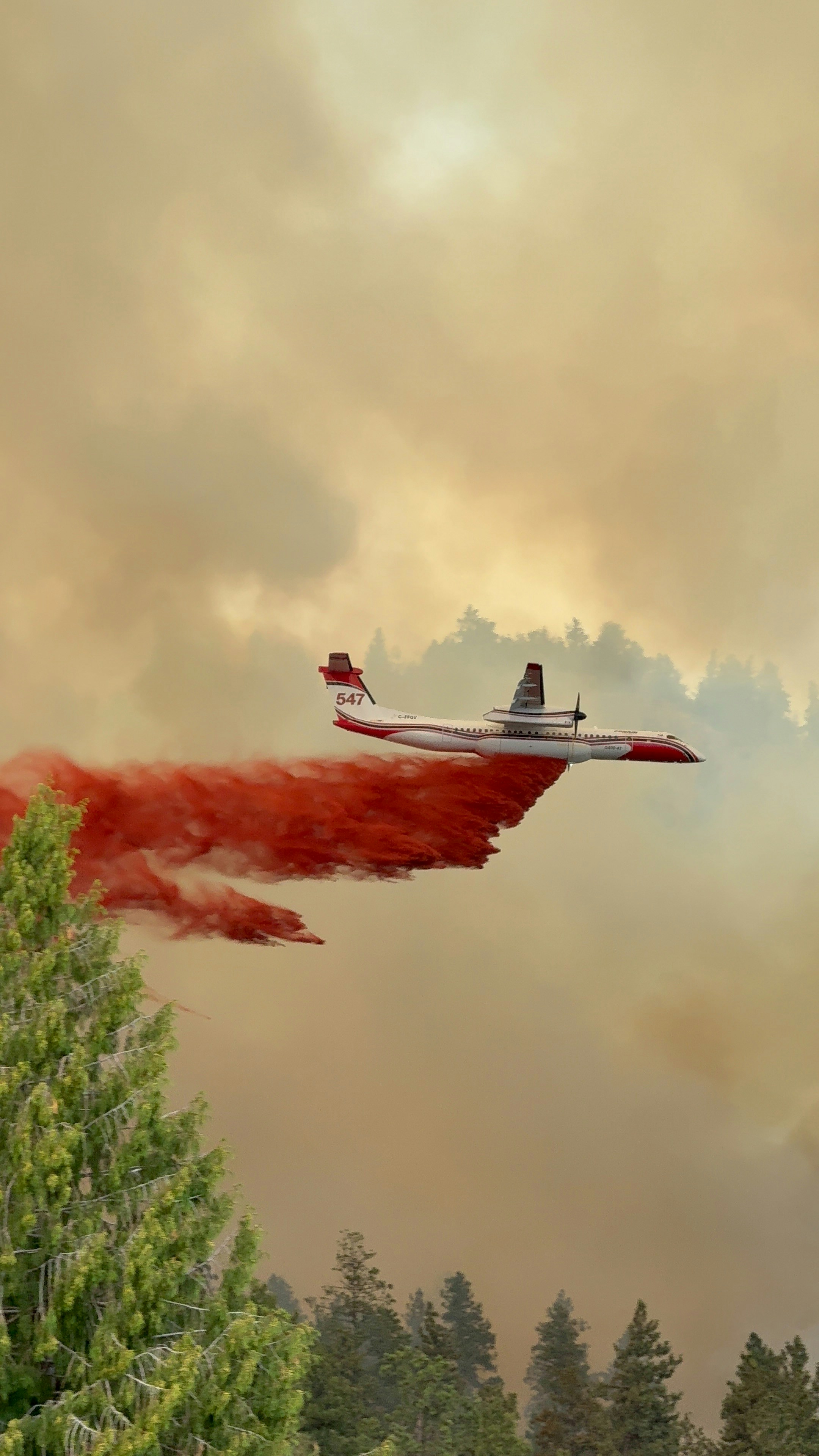 Avión de extinción de incendios arroja retardante rojo sobre el bosque