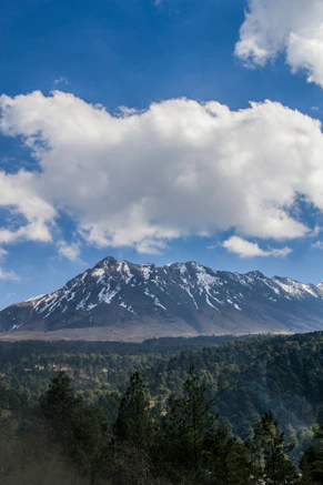 Snow-capped mountain range with dense green forest below.