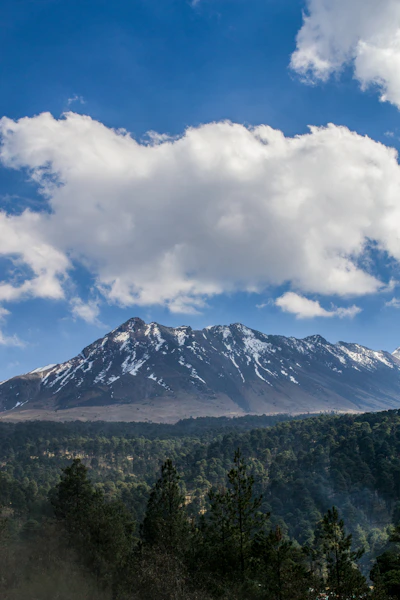 Snow-capped mountain range with dense green forest below.