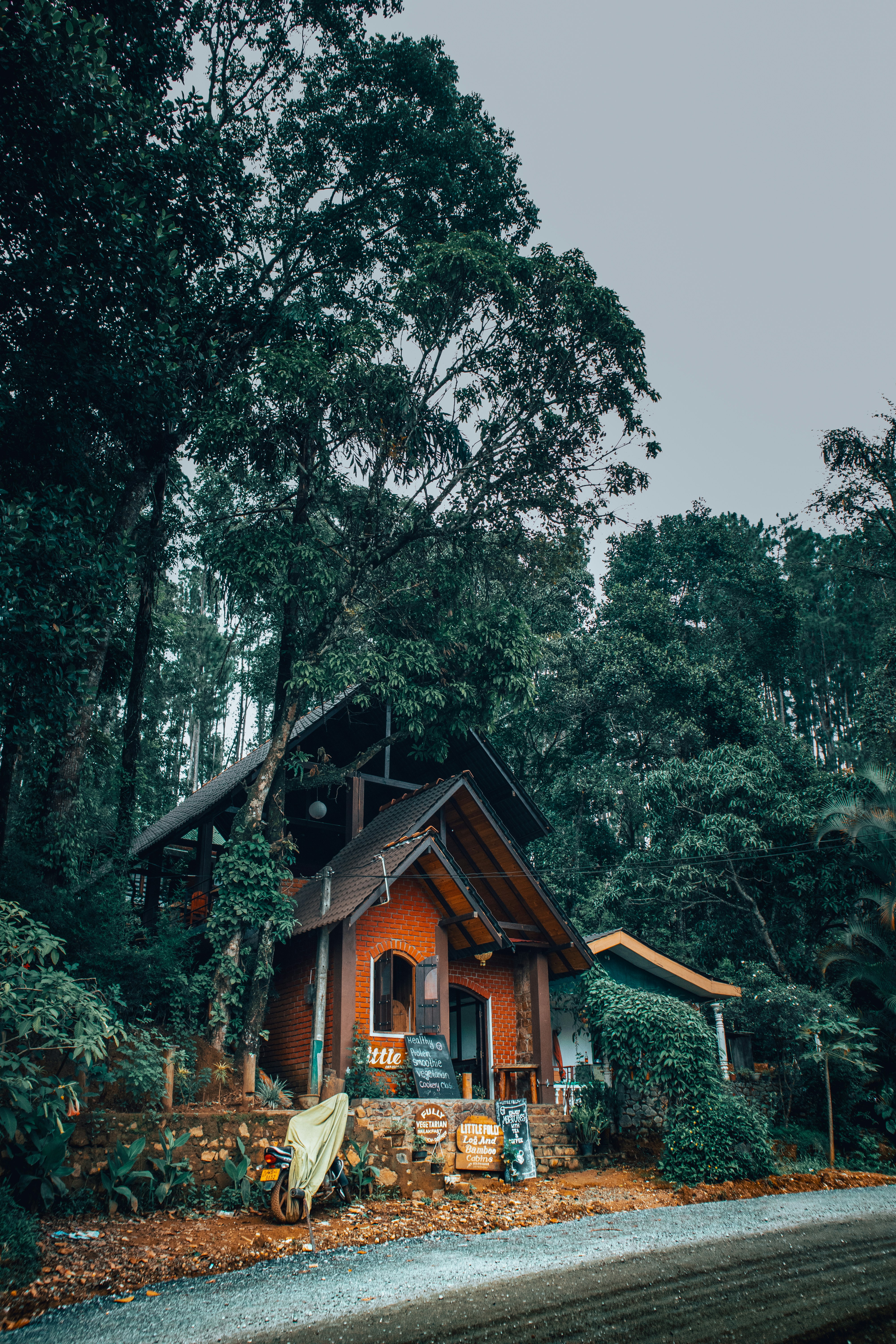 Rustic cabin nestled amongst dense green trees