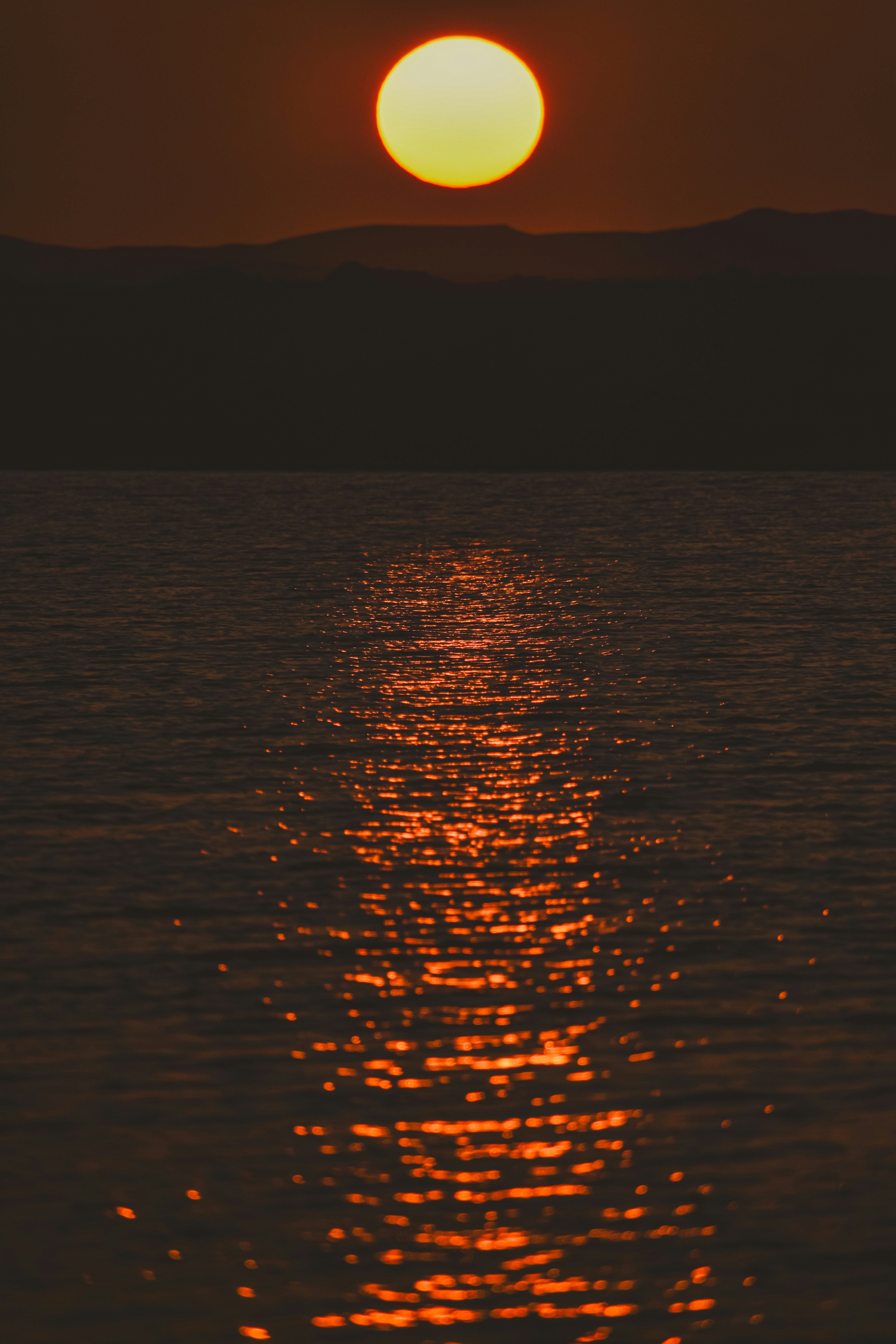 Photo by nourhan_m_sabek