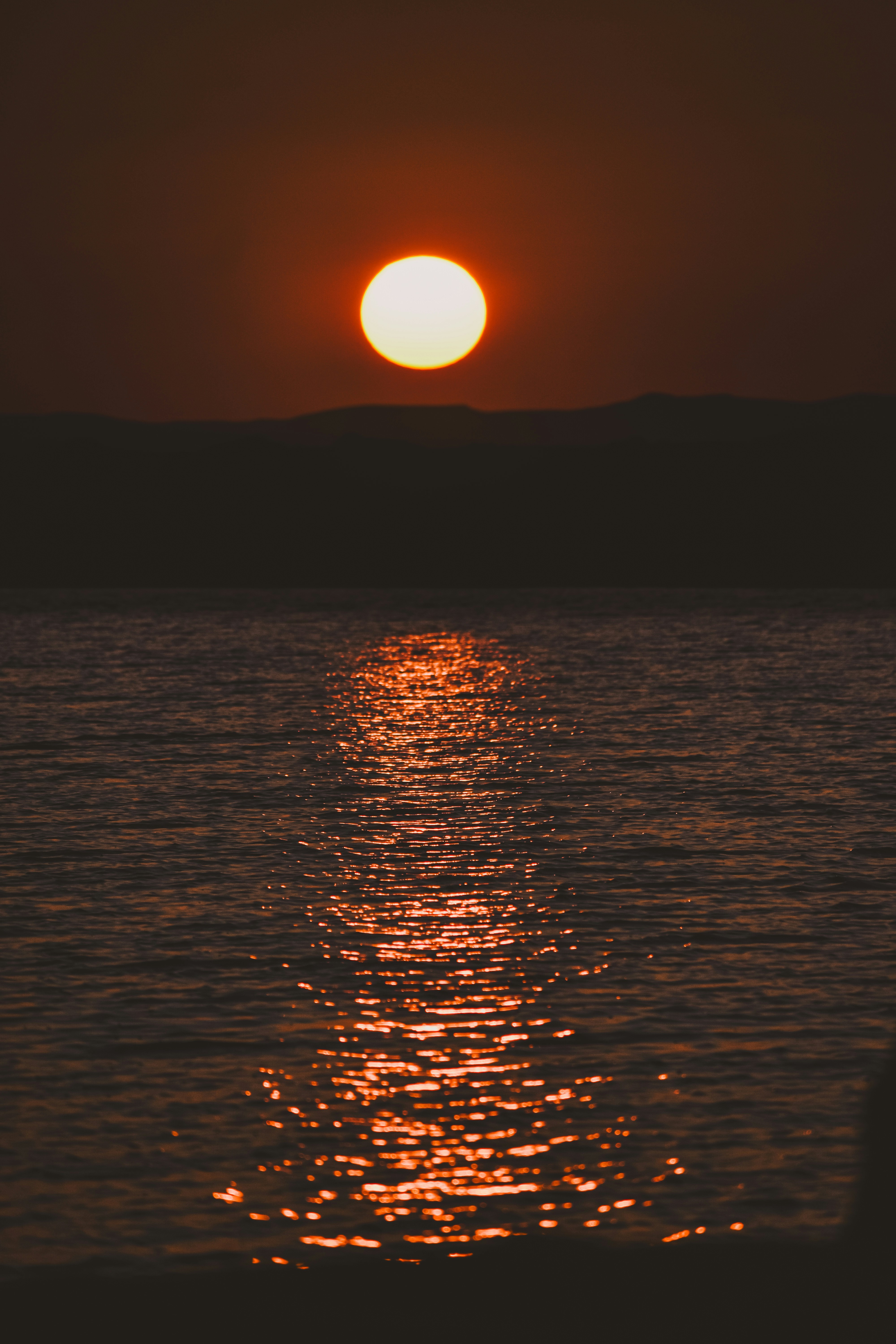 Photo by nourhan_m_sabek