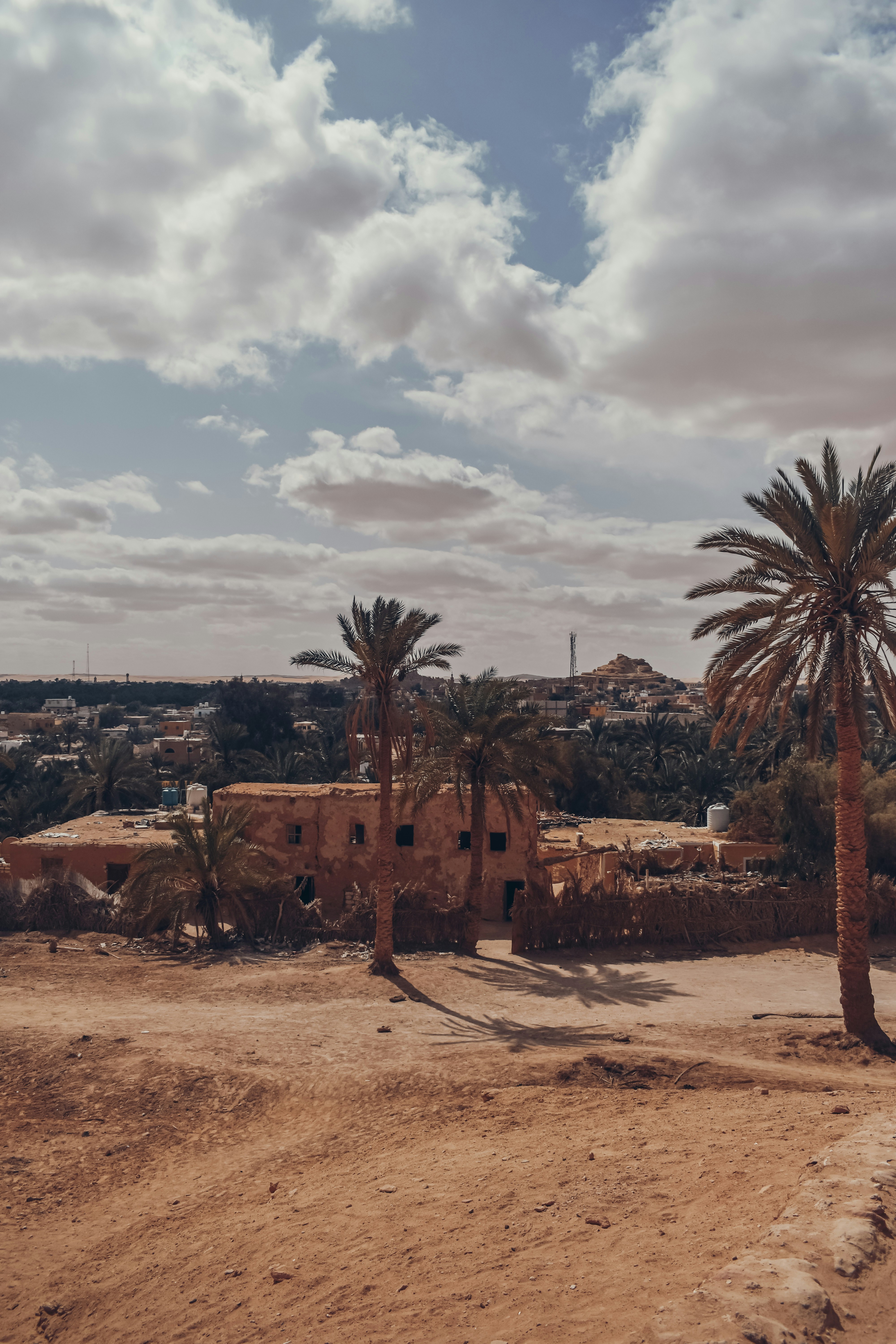 Photo by nourhan_m_sabek