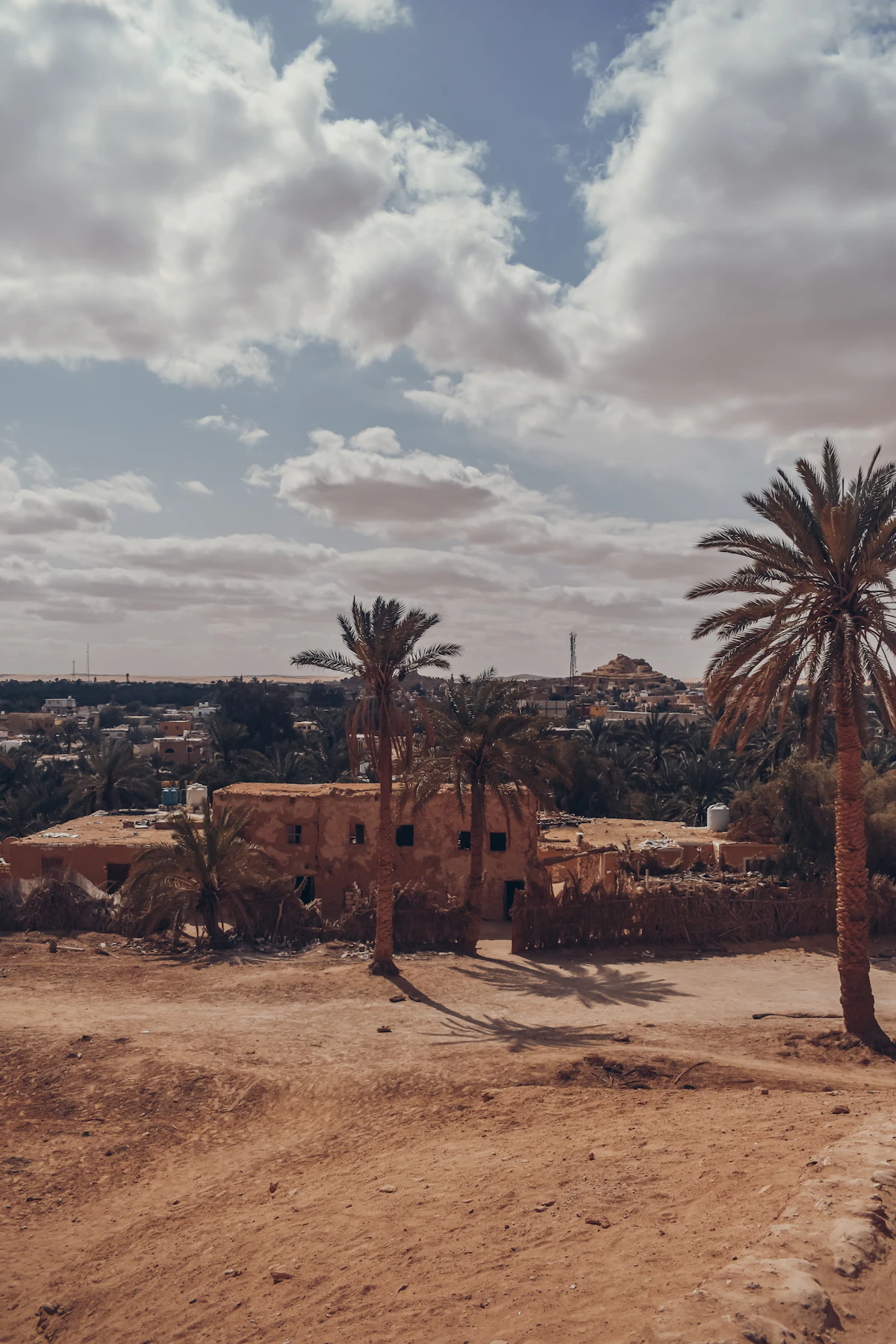 Desert oasis with palms and ancient mud-brick buildings