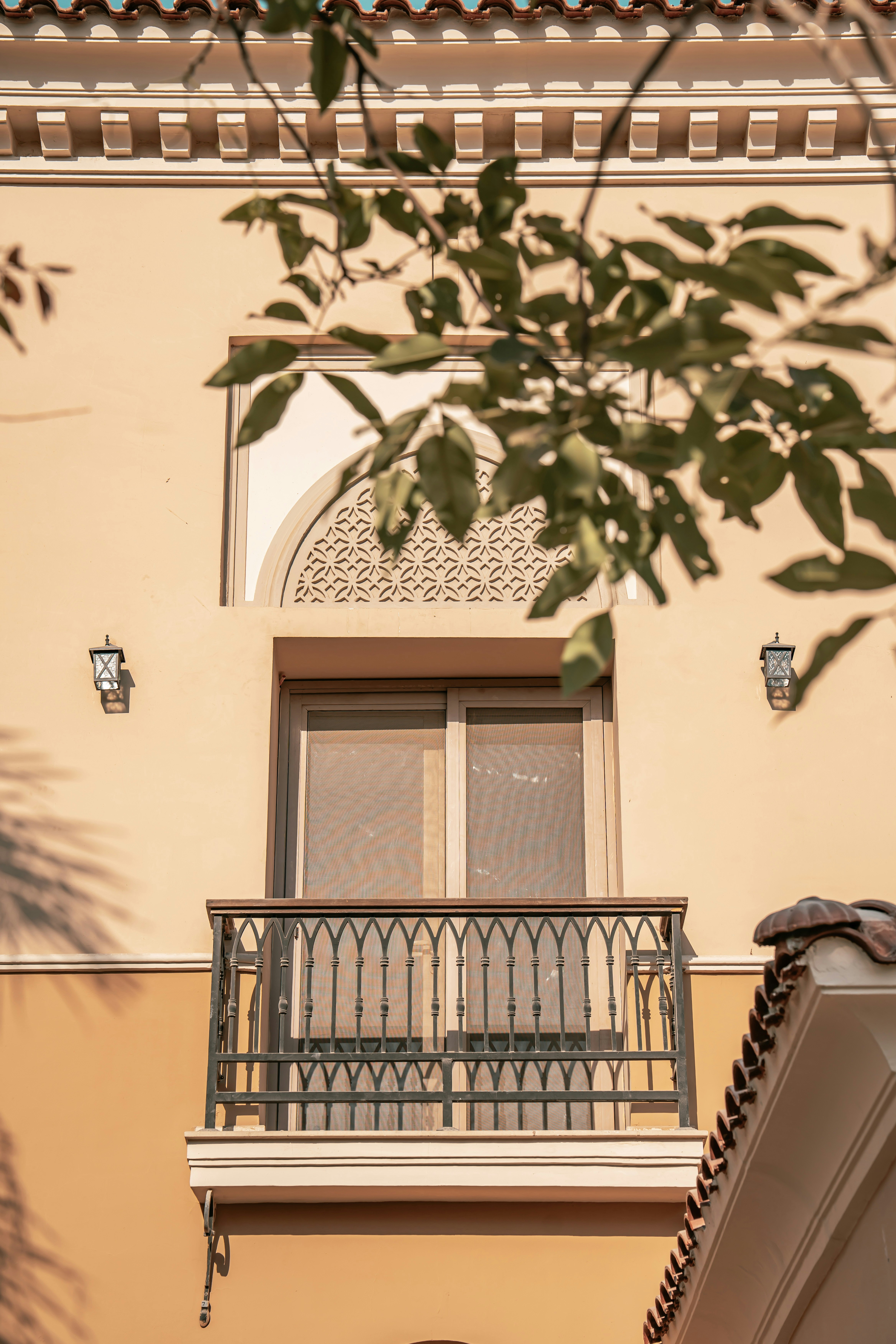 Photo by nourhan_m_sabek