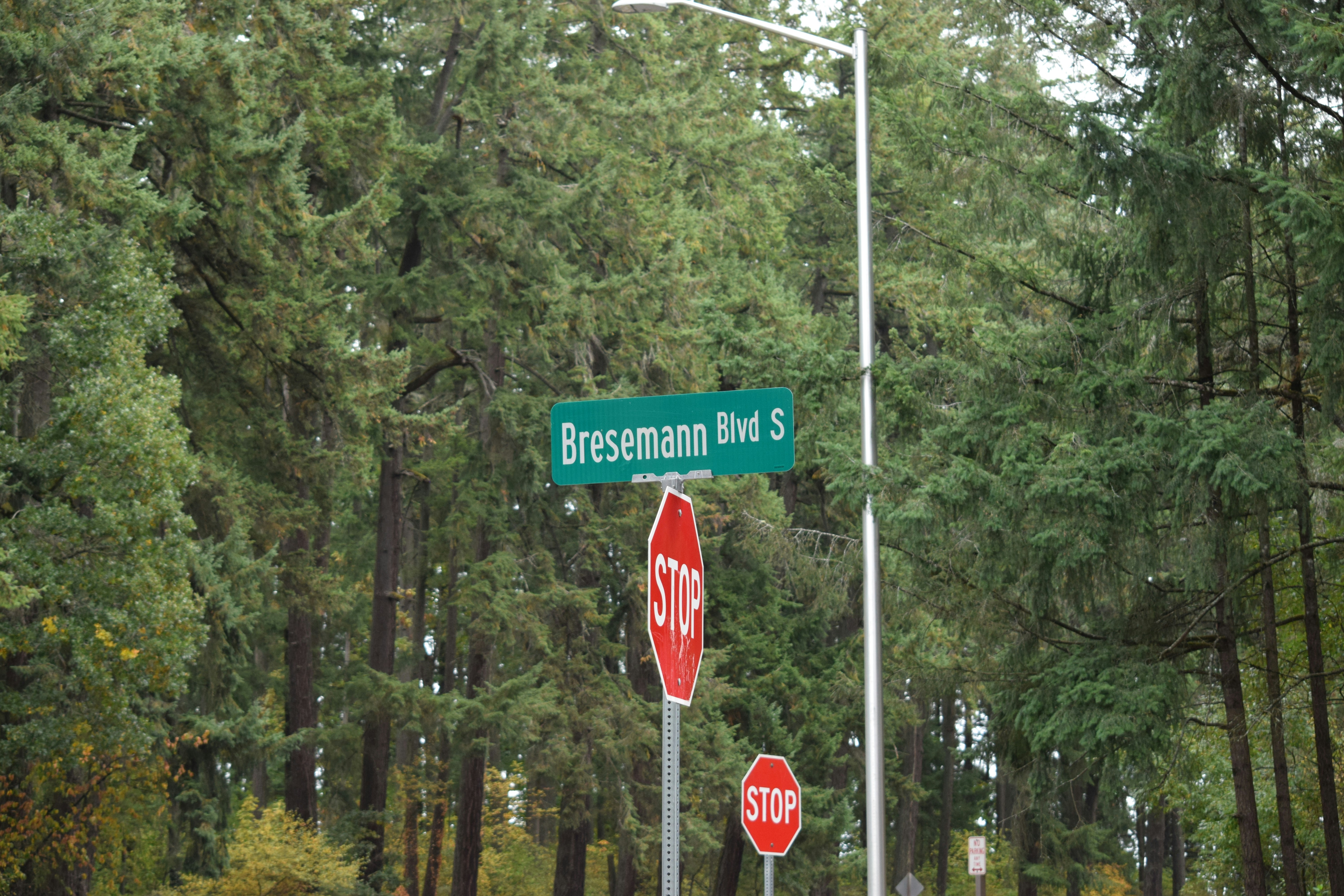 Street sign for bresemann blvd s with stop signs.