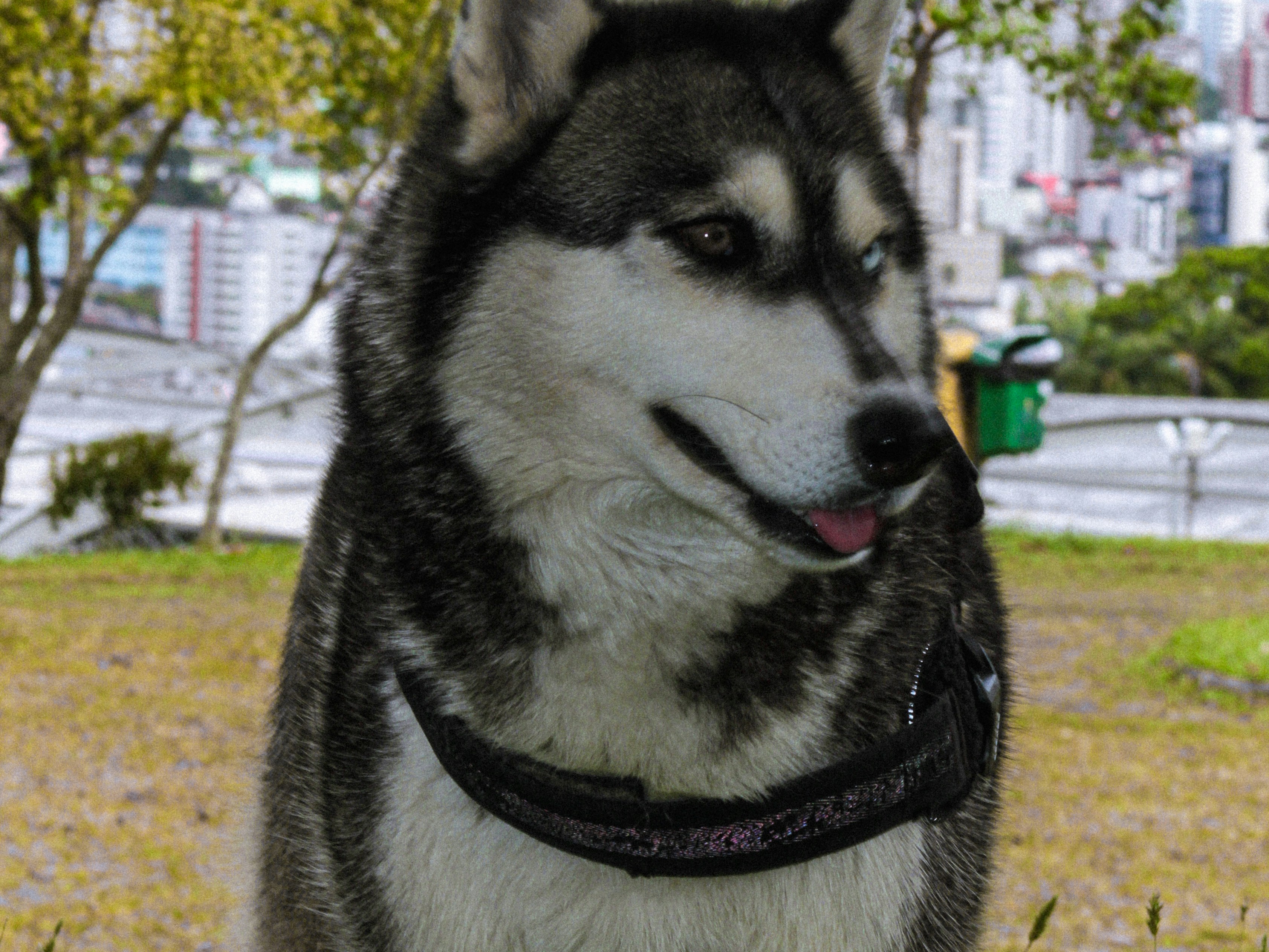 Photo by photos_muka