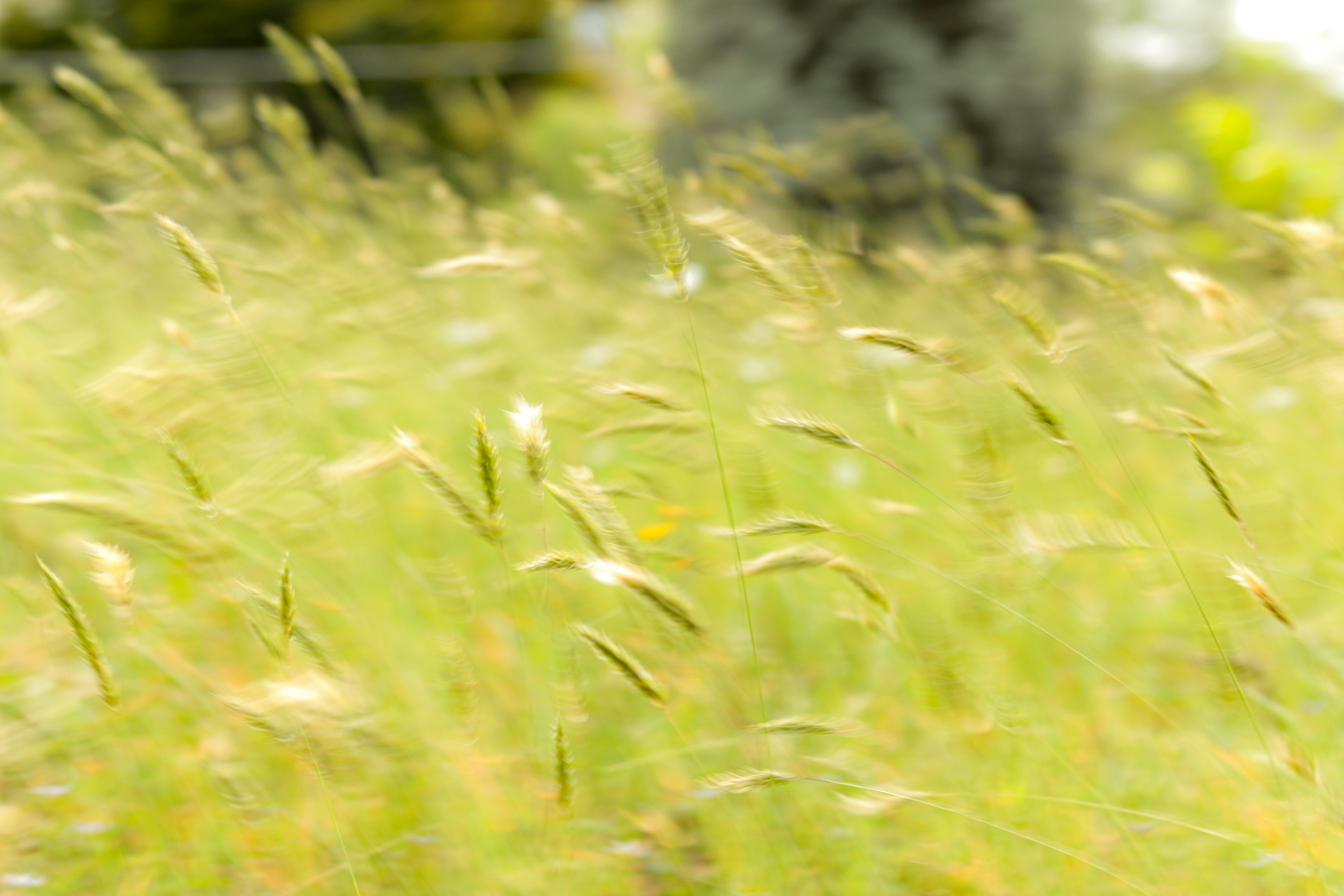 Photo by photos_muka