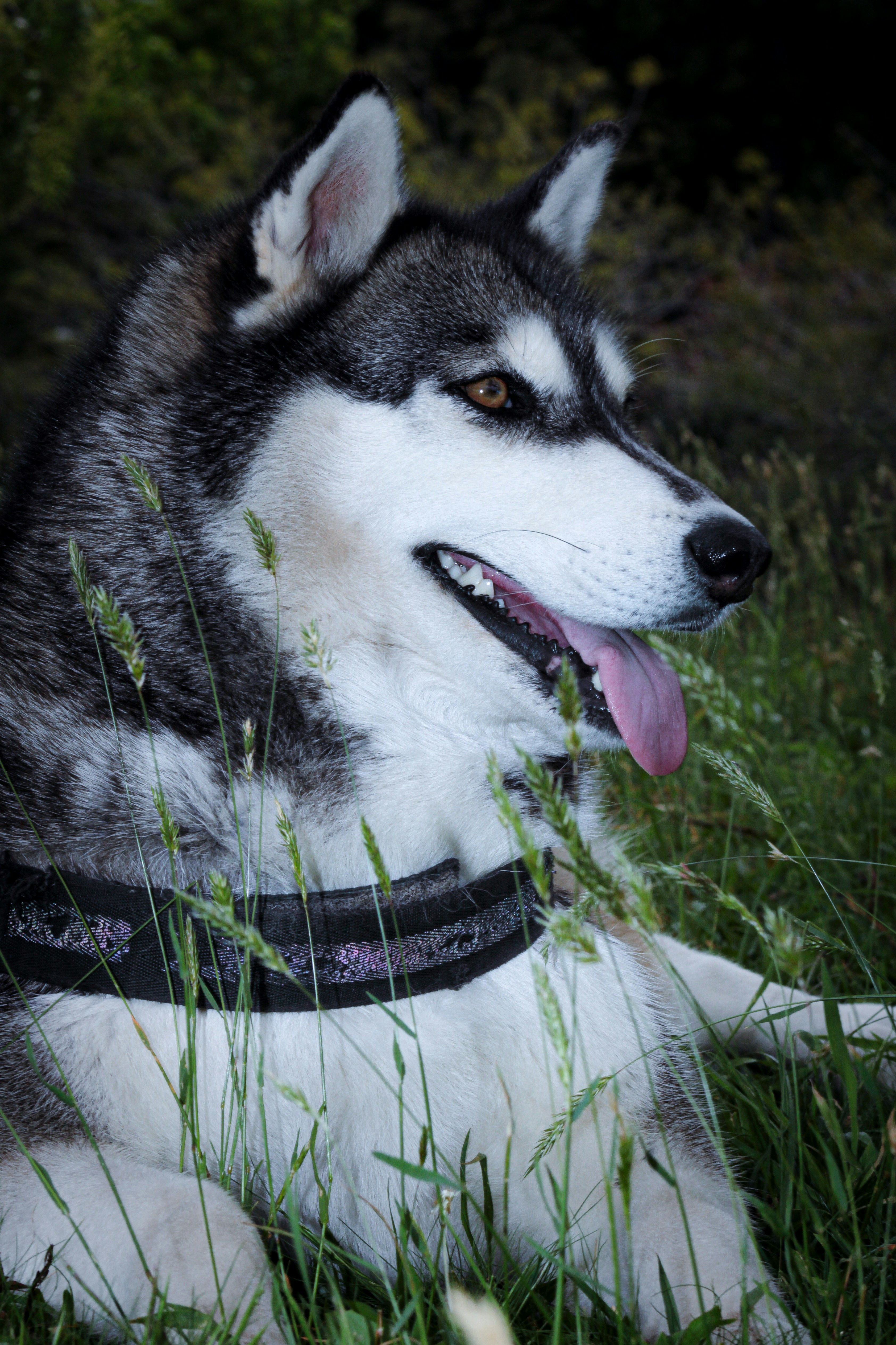 Photo by photos_muka