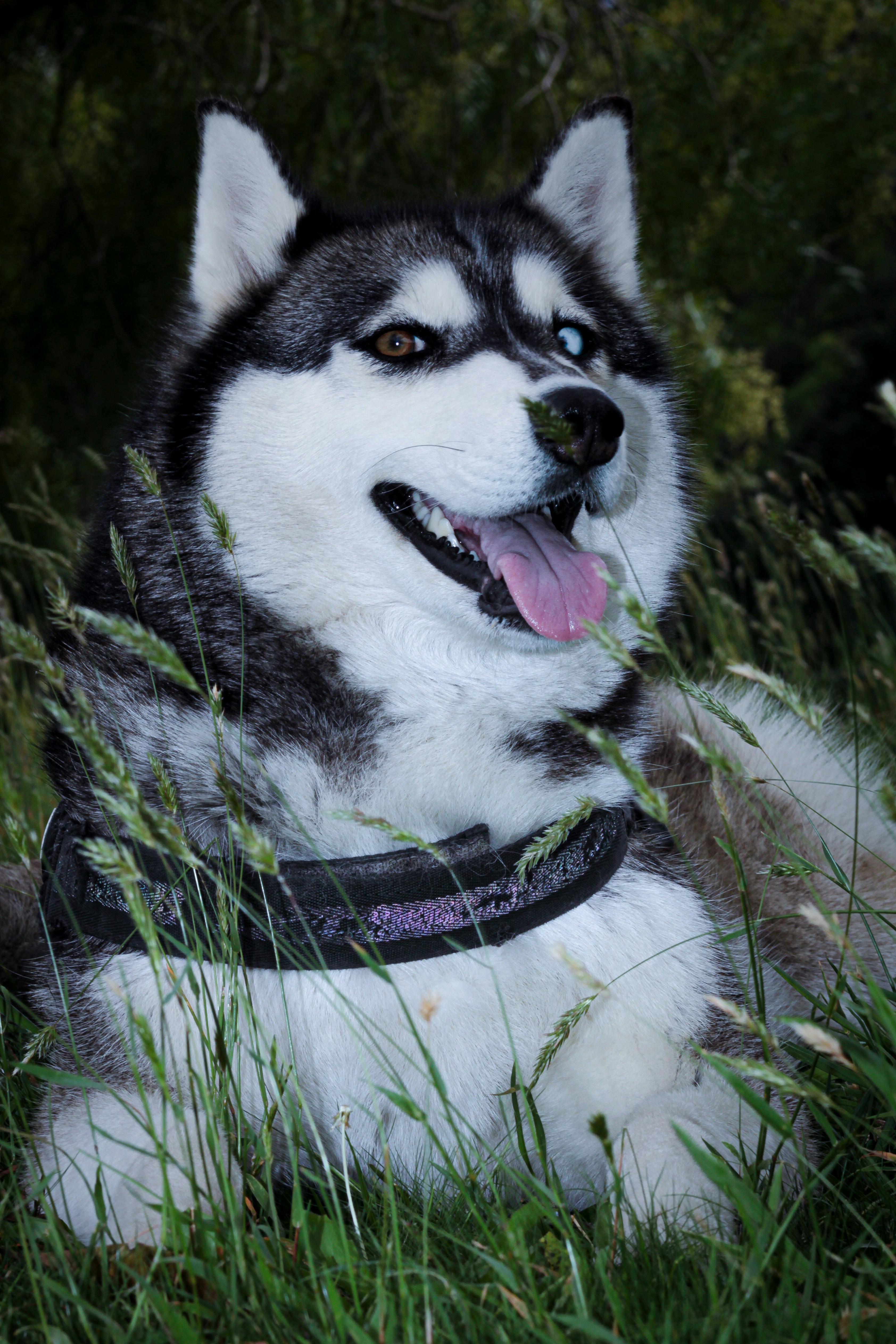 Photo by photos_muka