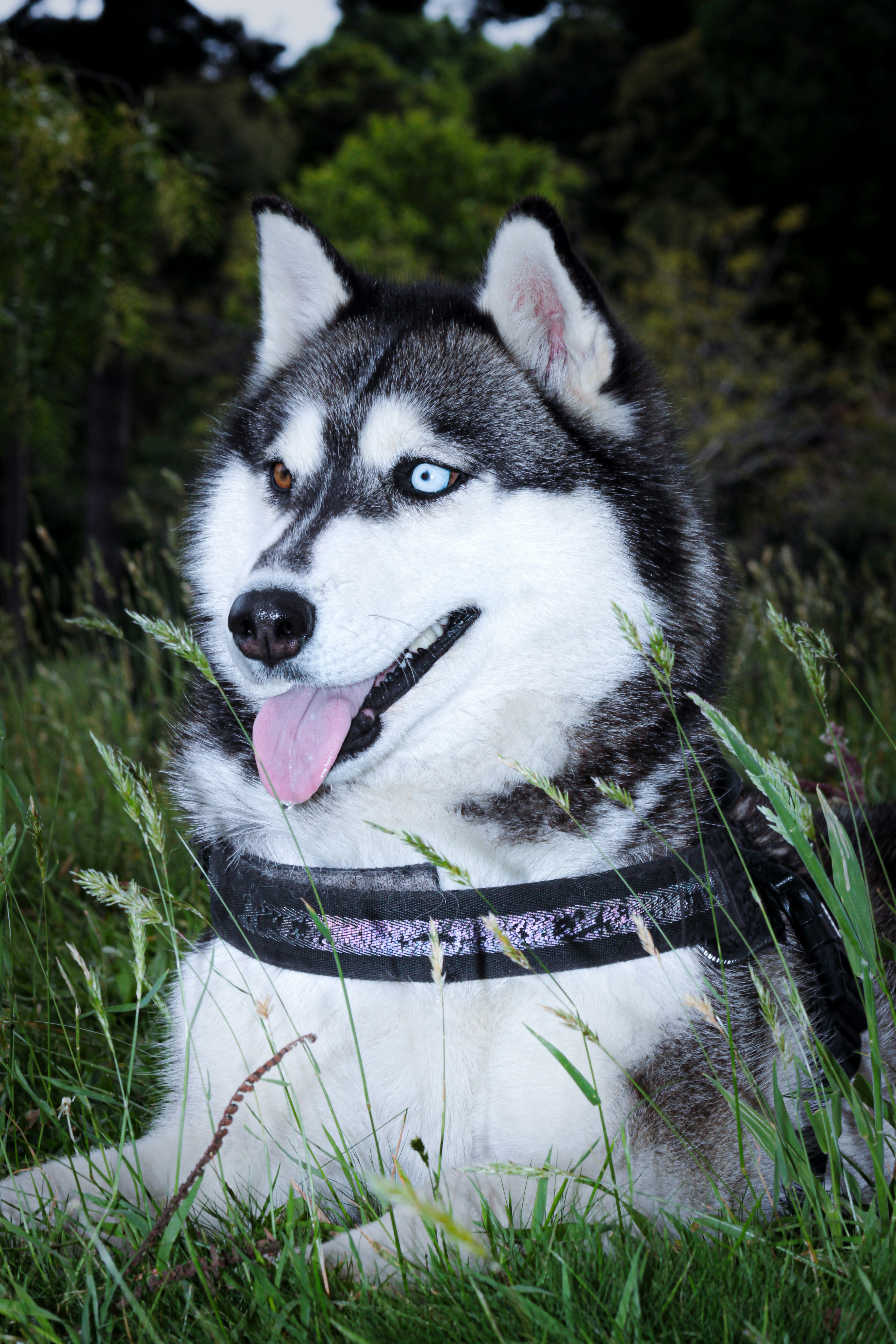 Photo by photos_muka