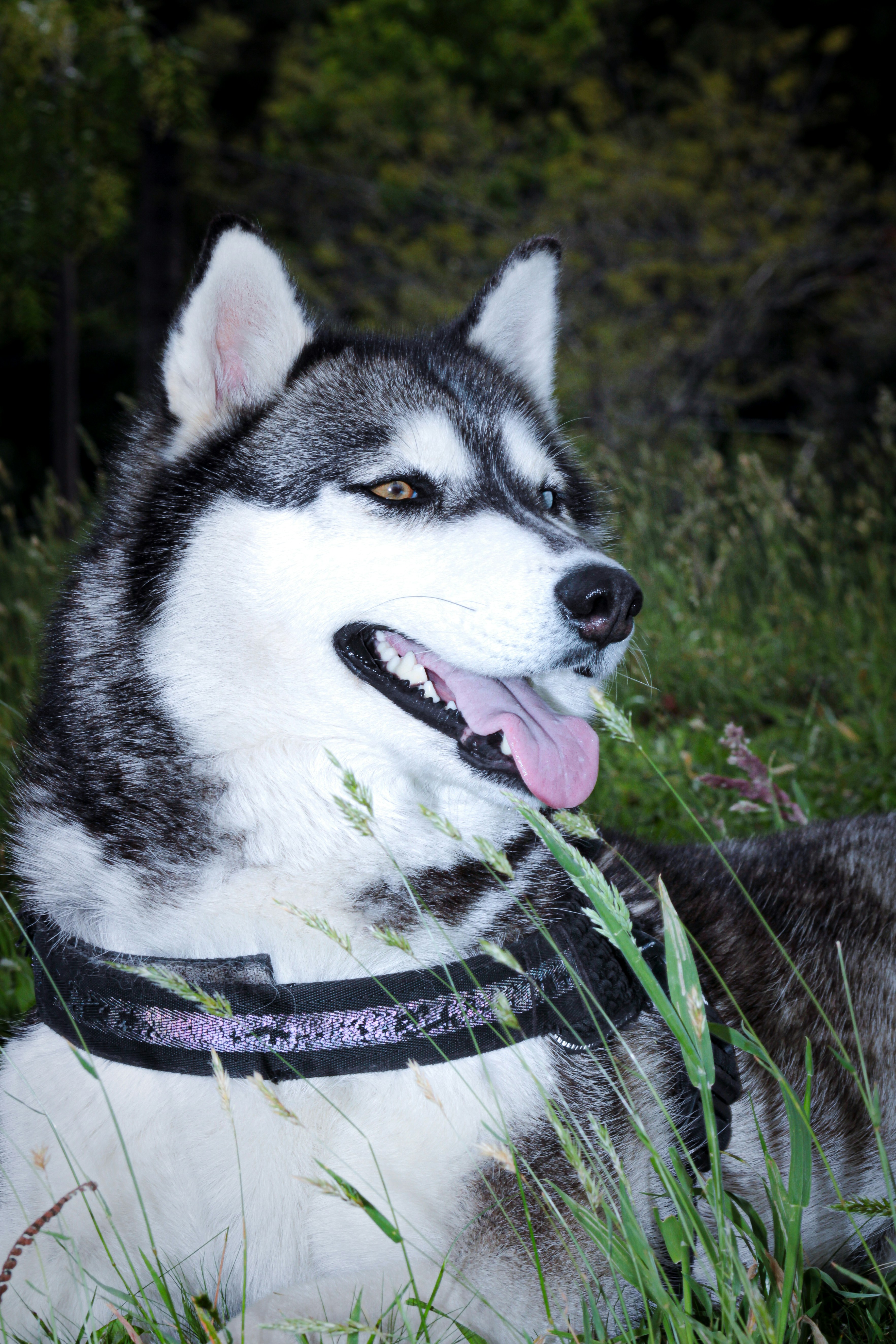 Photo by photos_muka