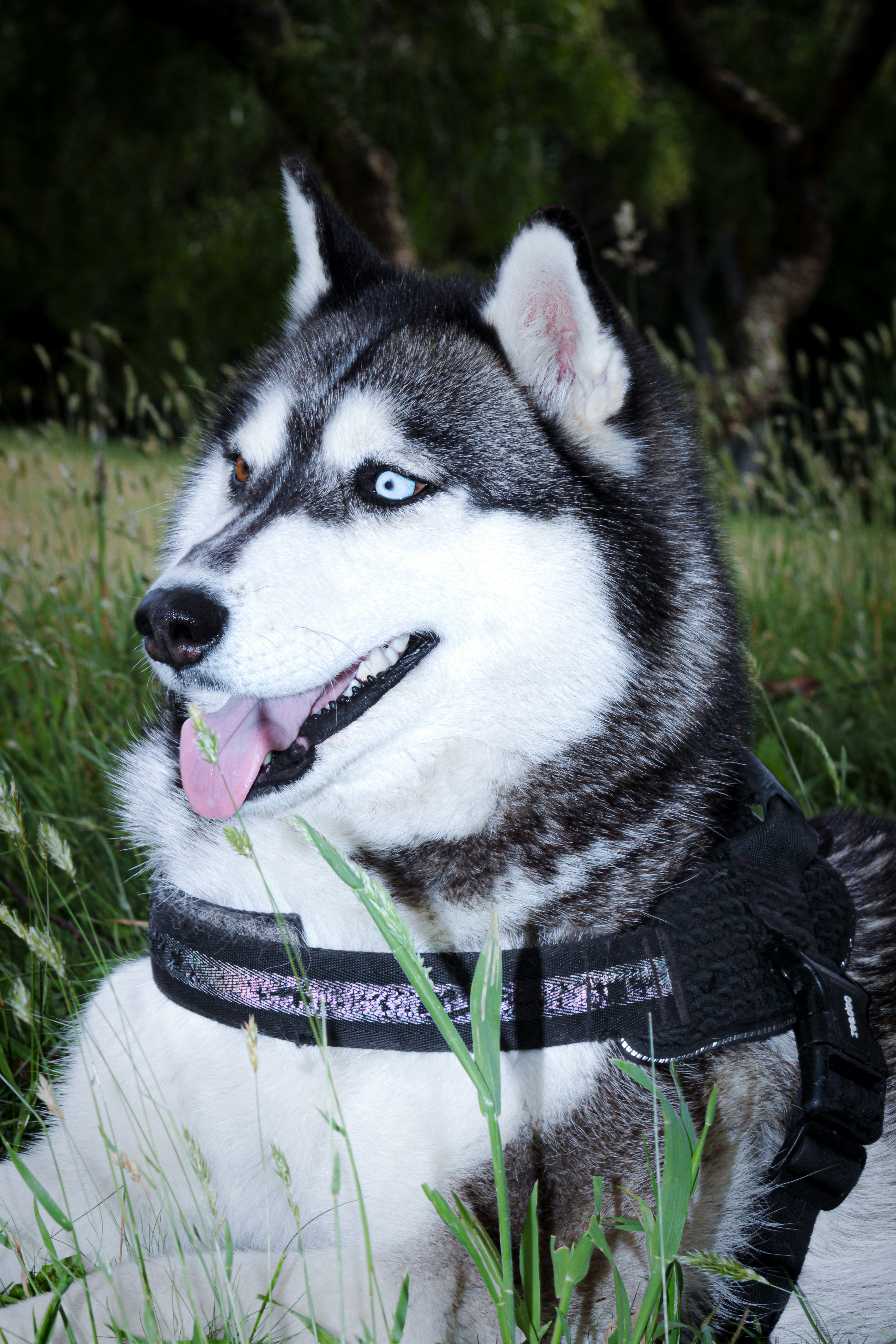 Photo by photos_muka