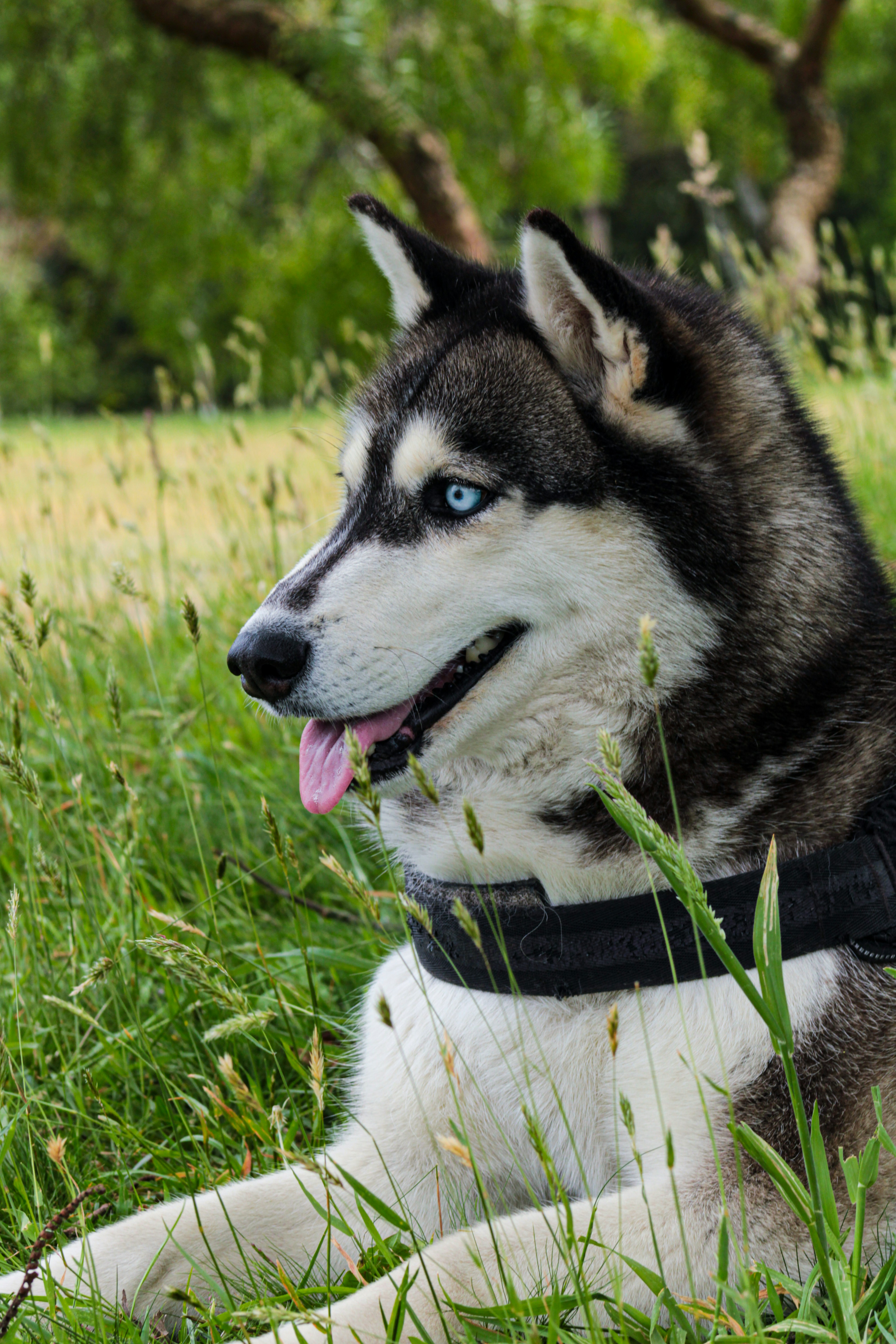 Photo by photos_muka