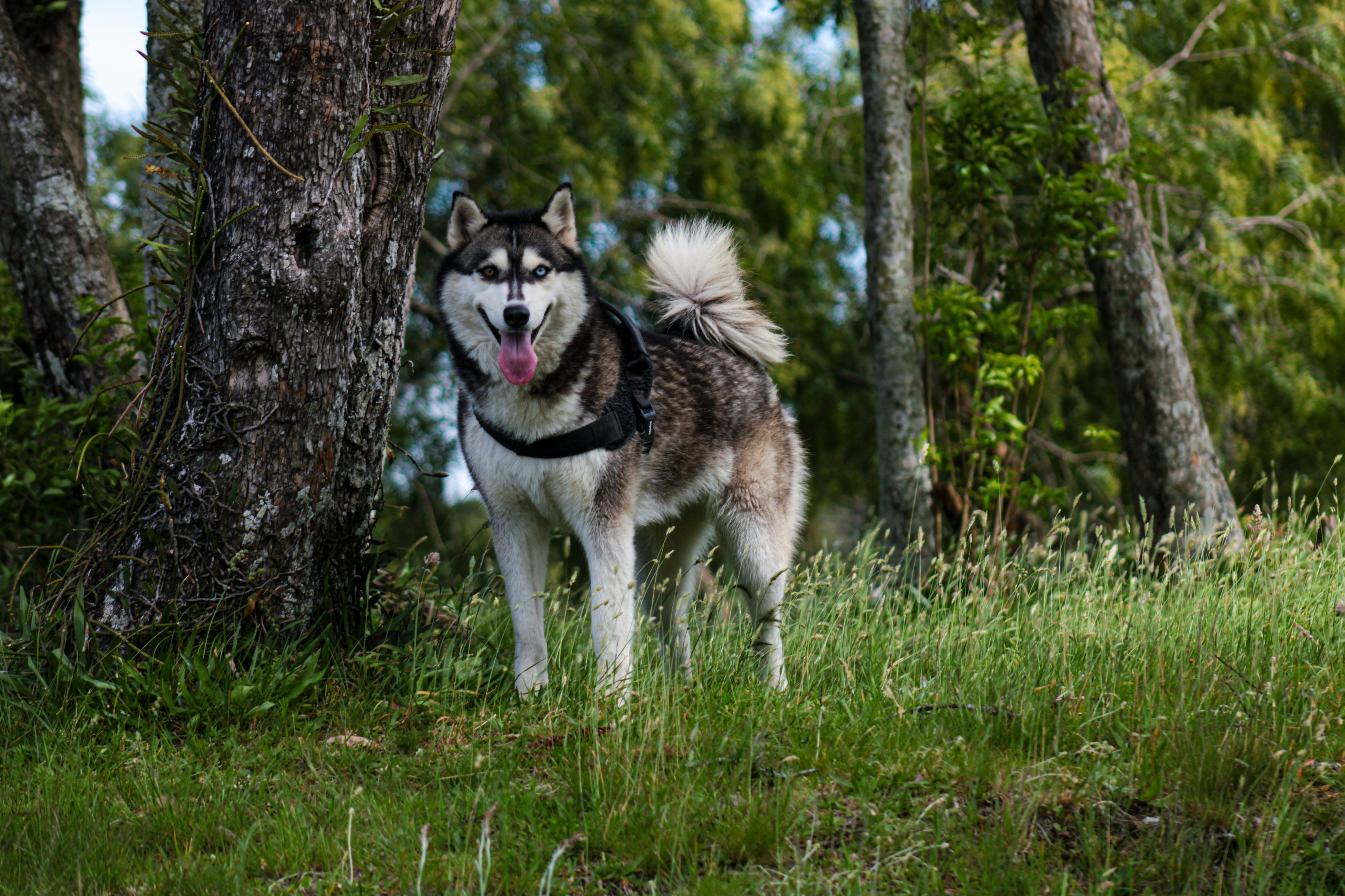 Photo by photos_muka