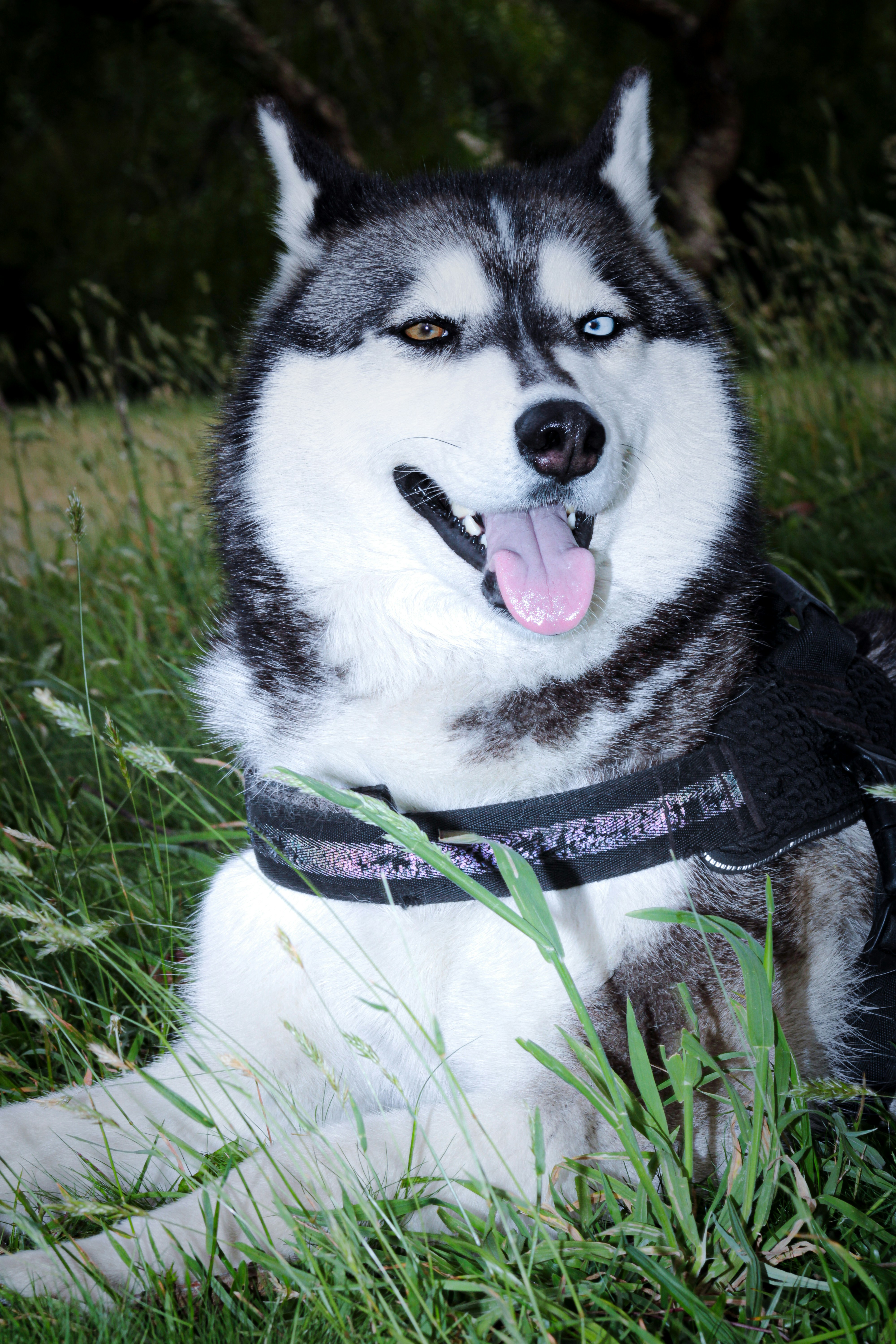 Photo by photos_muka