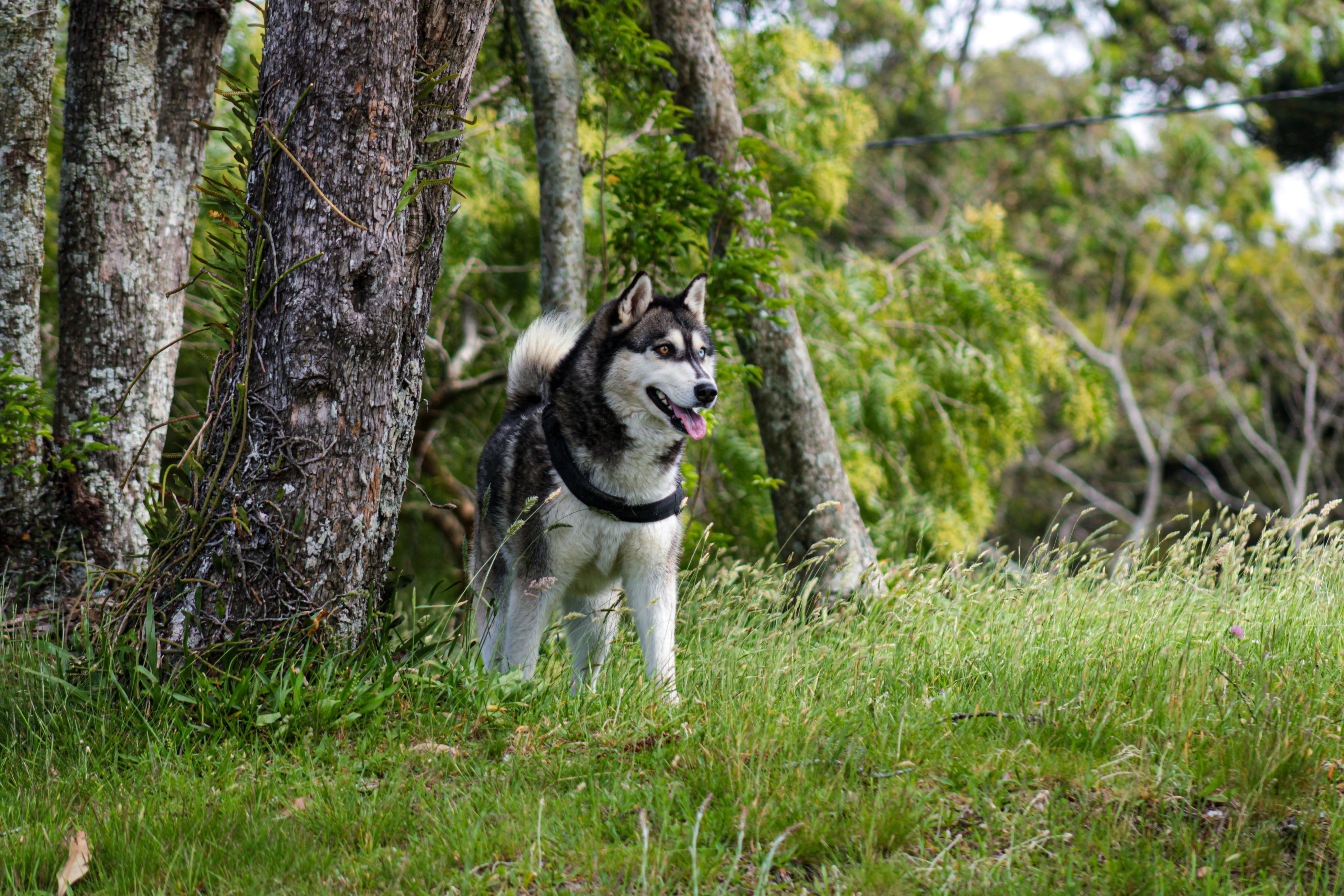 Photo by photos_muka