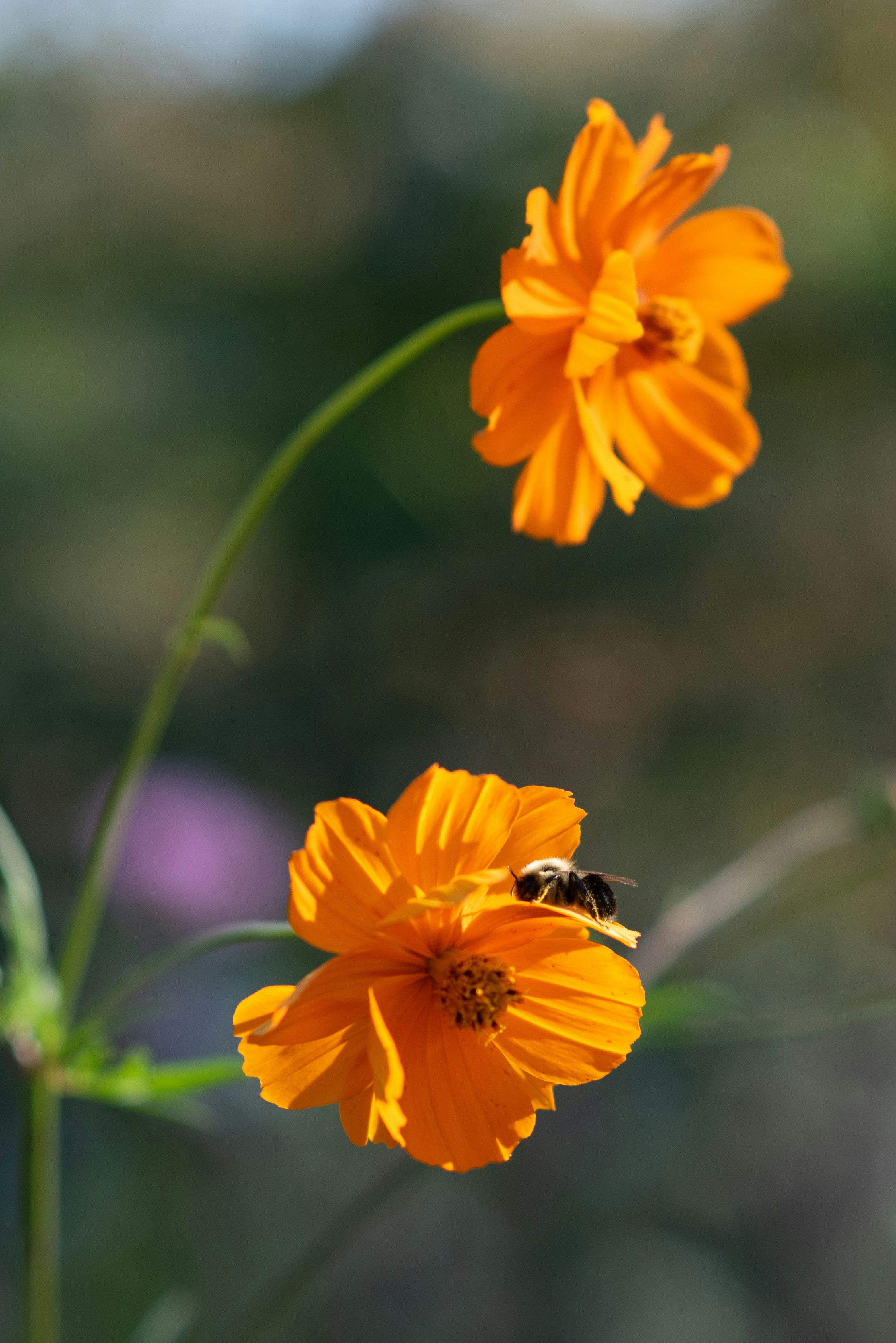 Photo by caitlinferwin