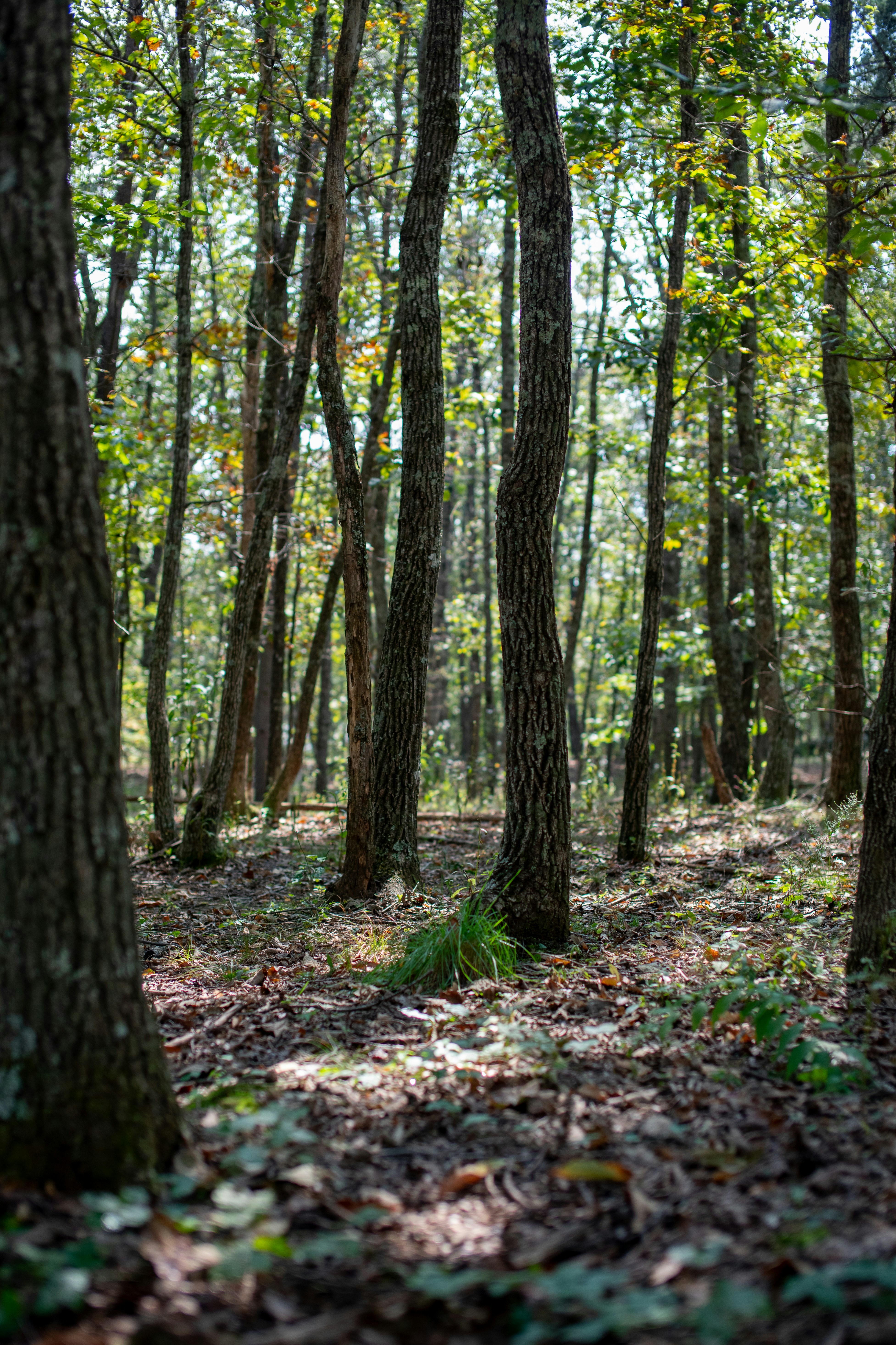 Photo by caitlinferwin