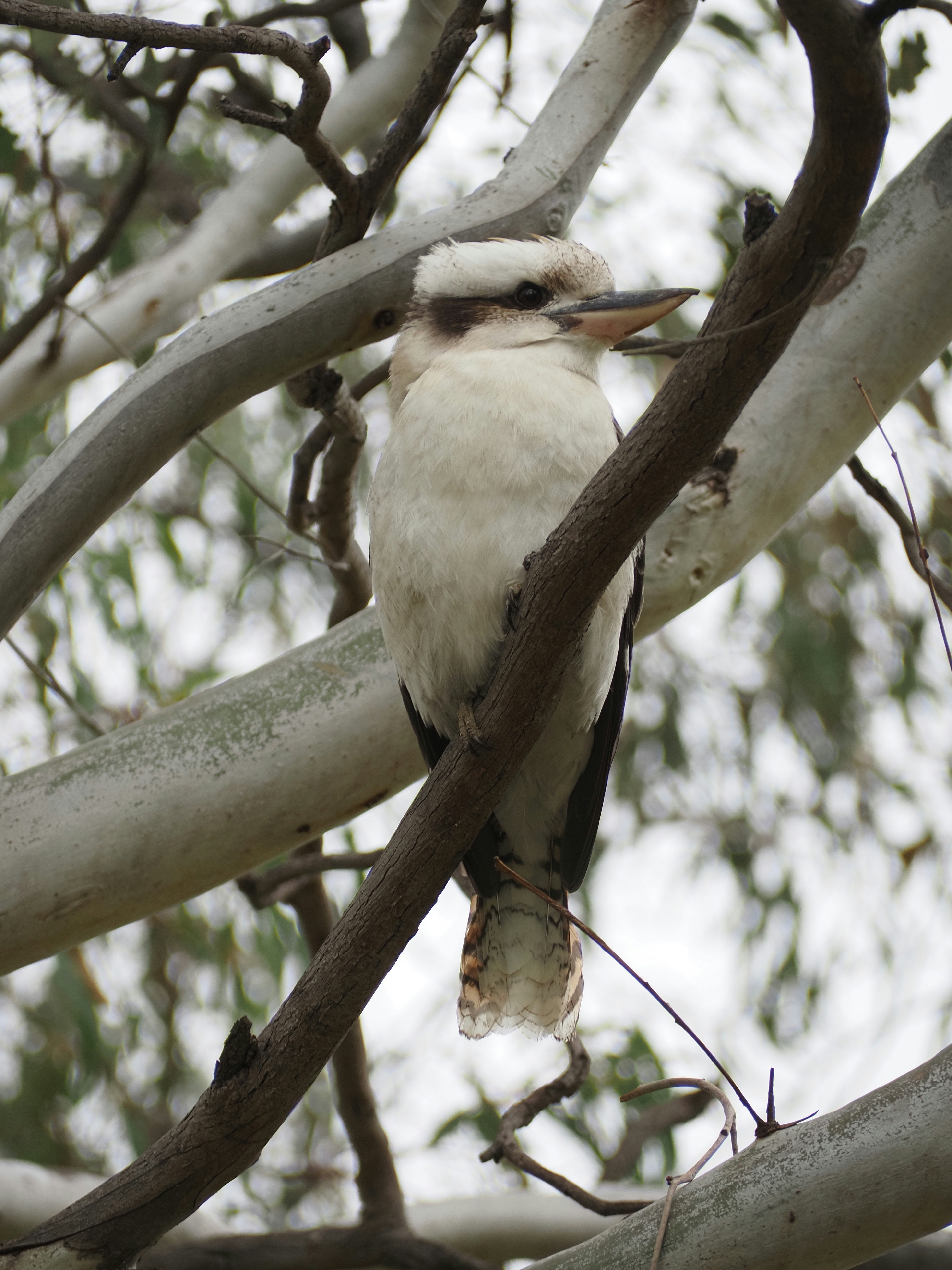 Photo by arnold_zhou