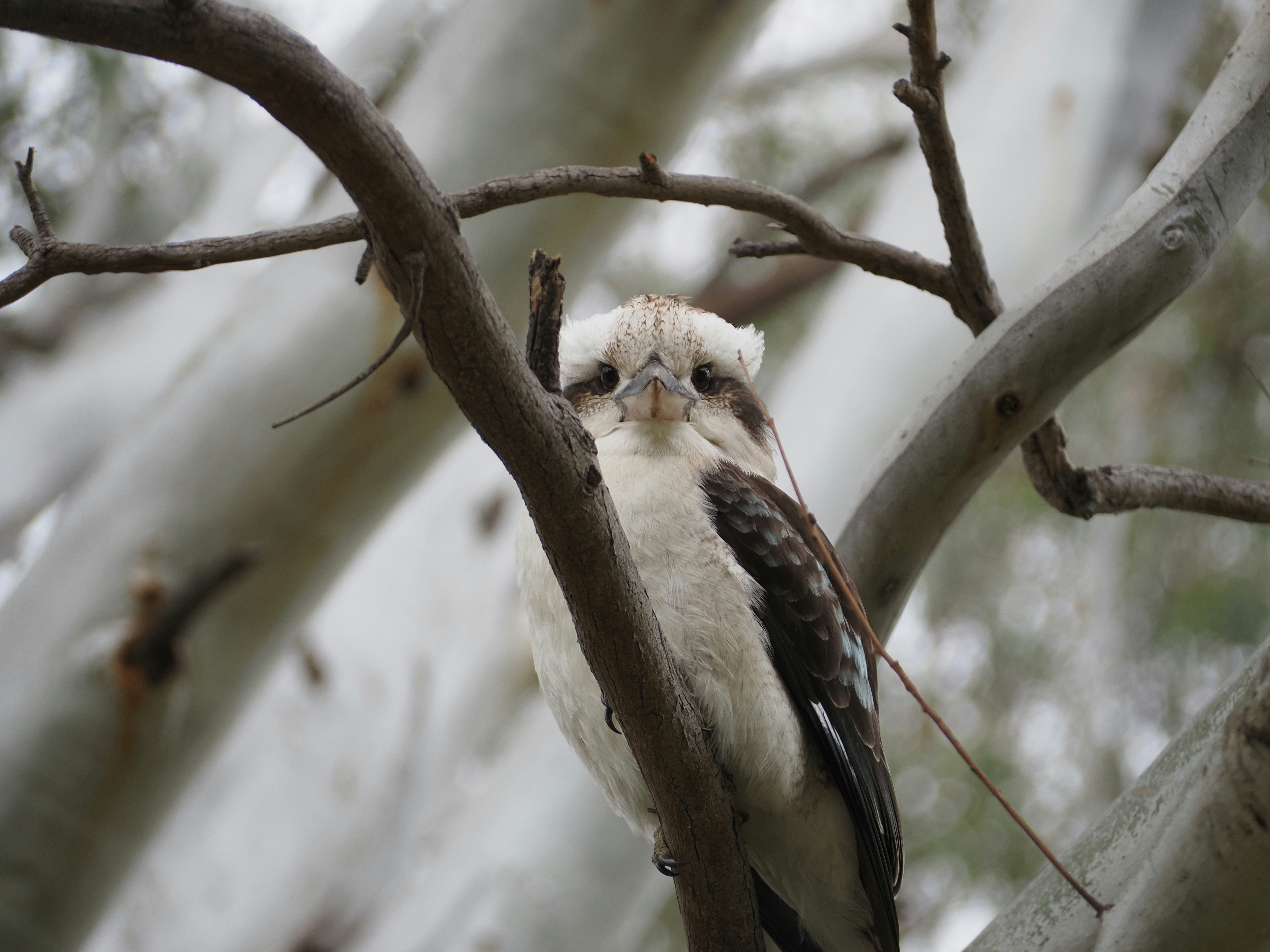 Photo by arnold_zhou