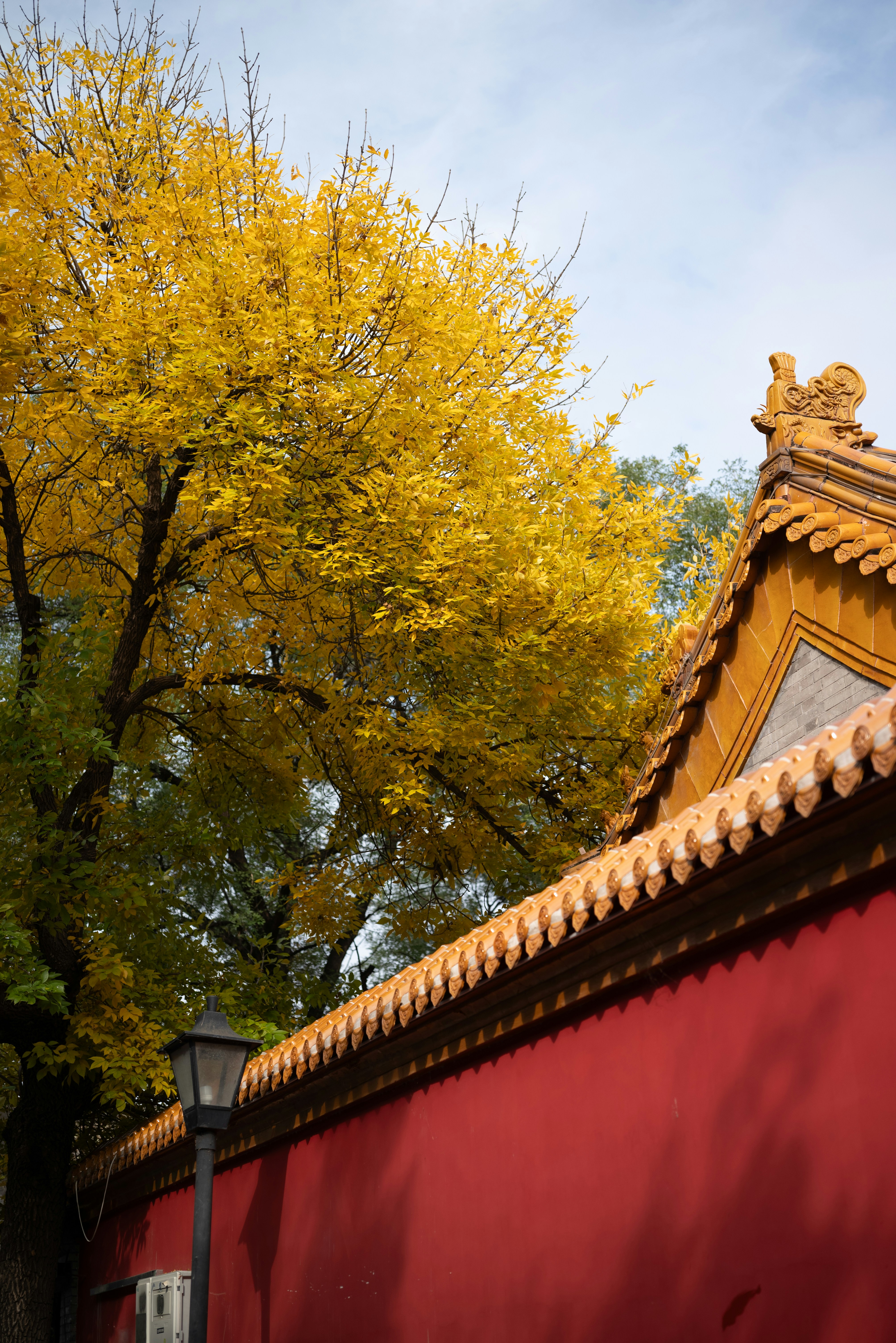 Photo by nikol_royce