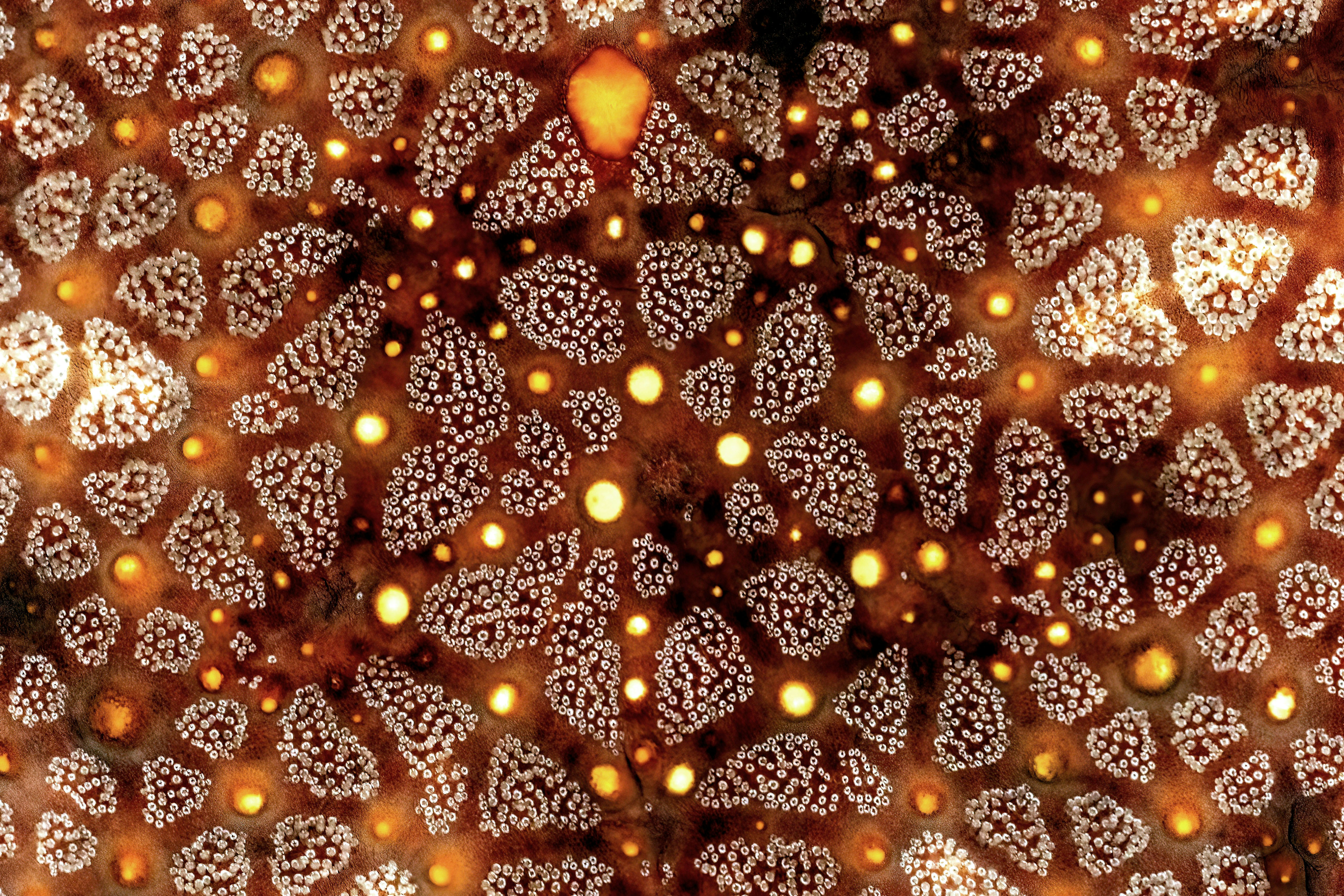 Take Part In The Expedition Of How Functional Rheumatology Discovers The Vital Causes Of Joint Pain And Transforms Your View On Health. What Could You Possibly Be Missing Out On?