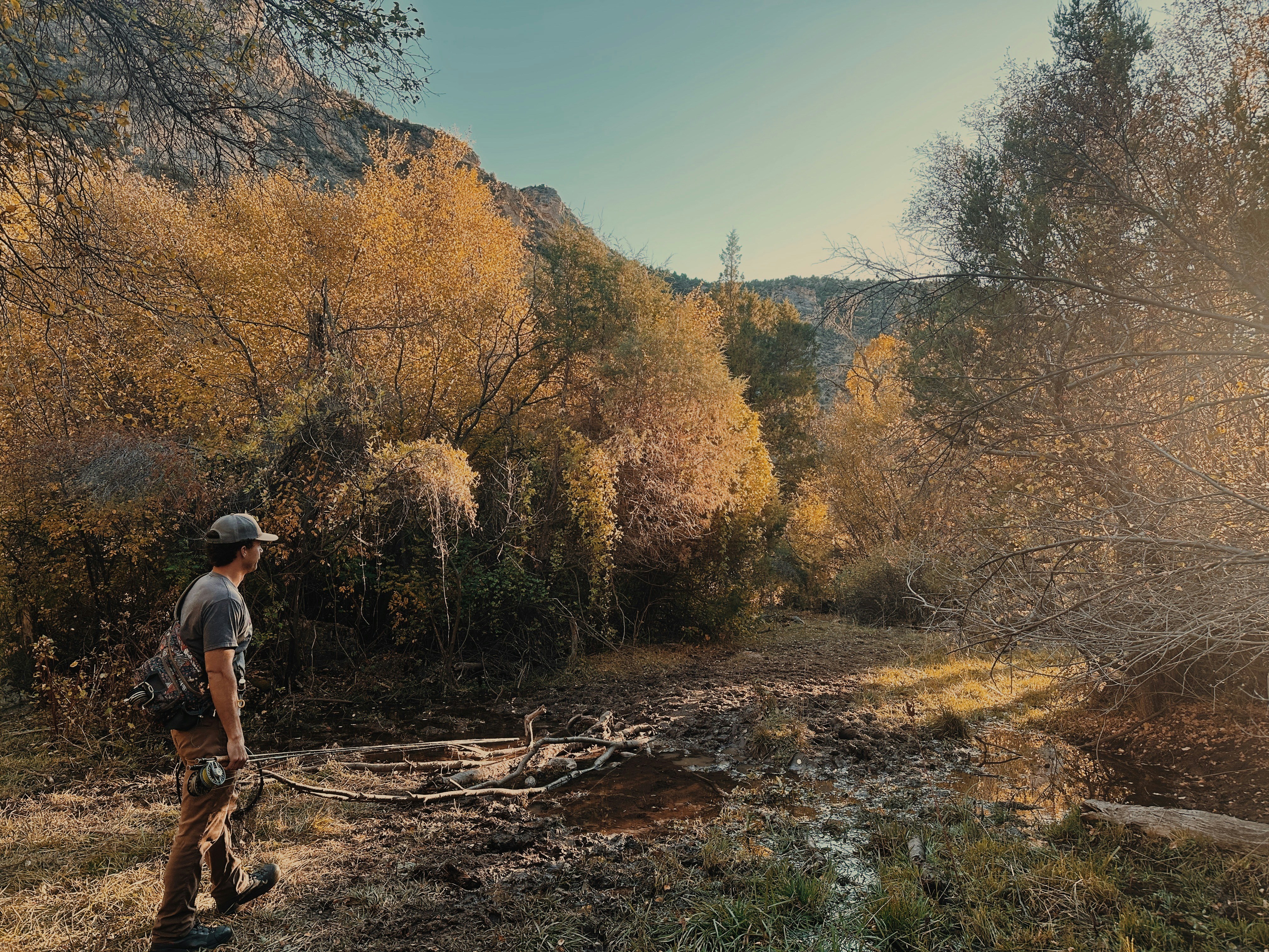 Photo by nickdepartee