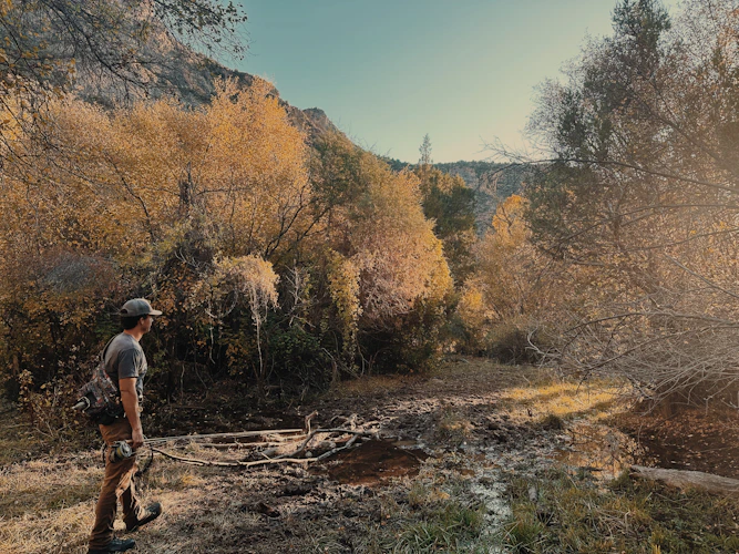 angler with fly rod in a fall canyon