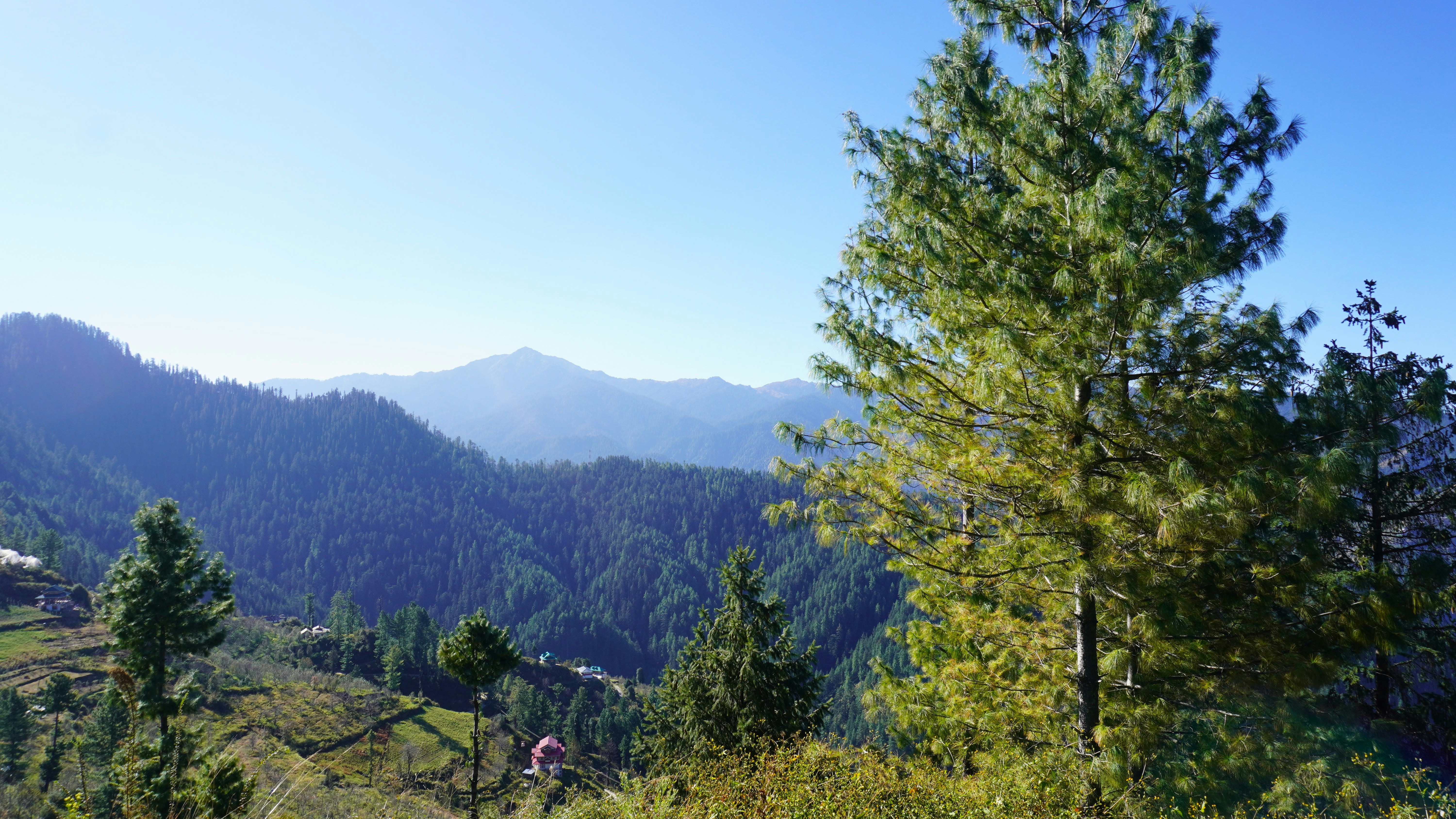 Photo by aditipanatu95