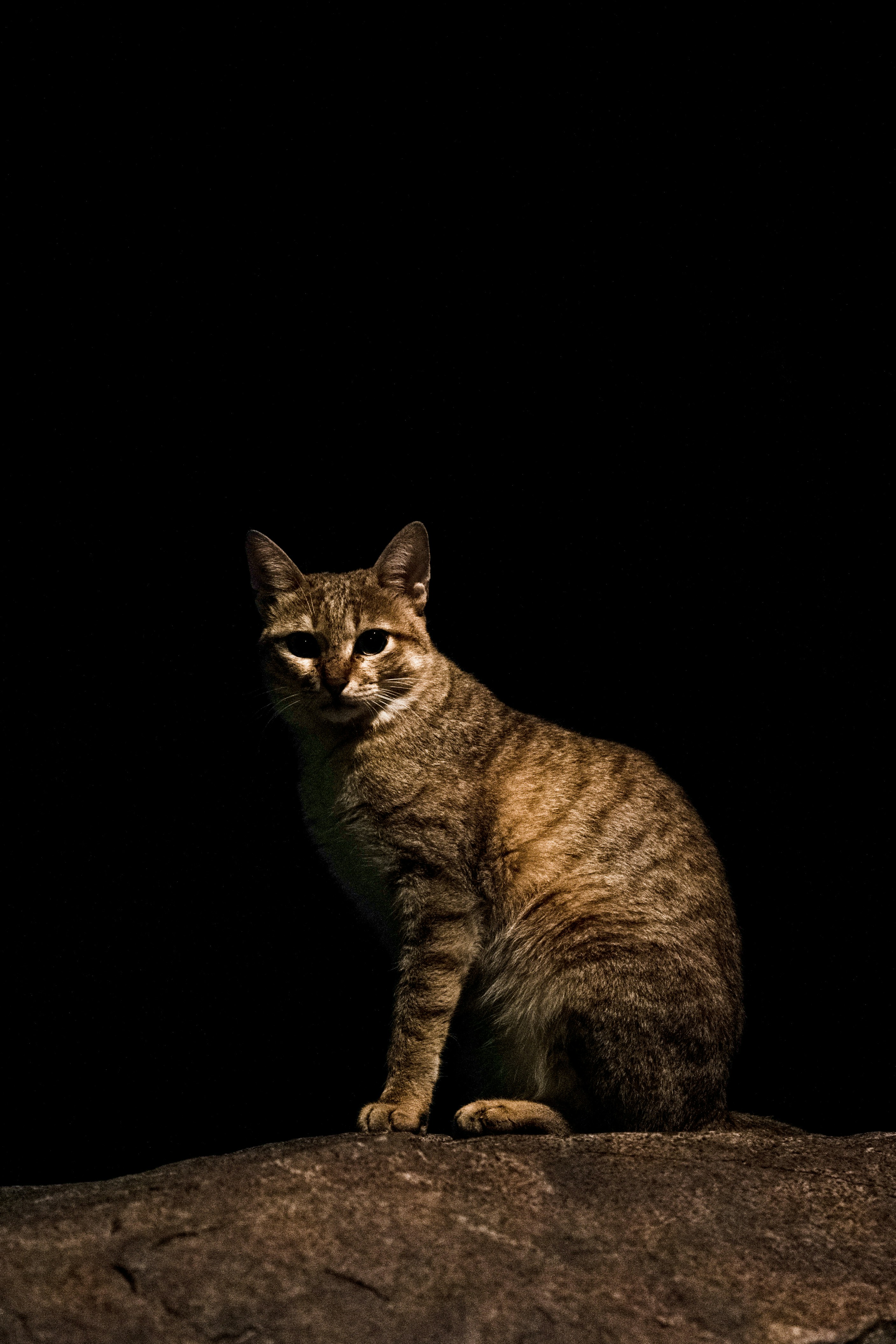 Photo by luanfonsecavisuals