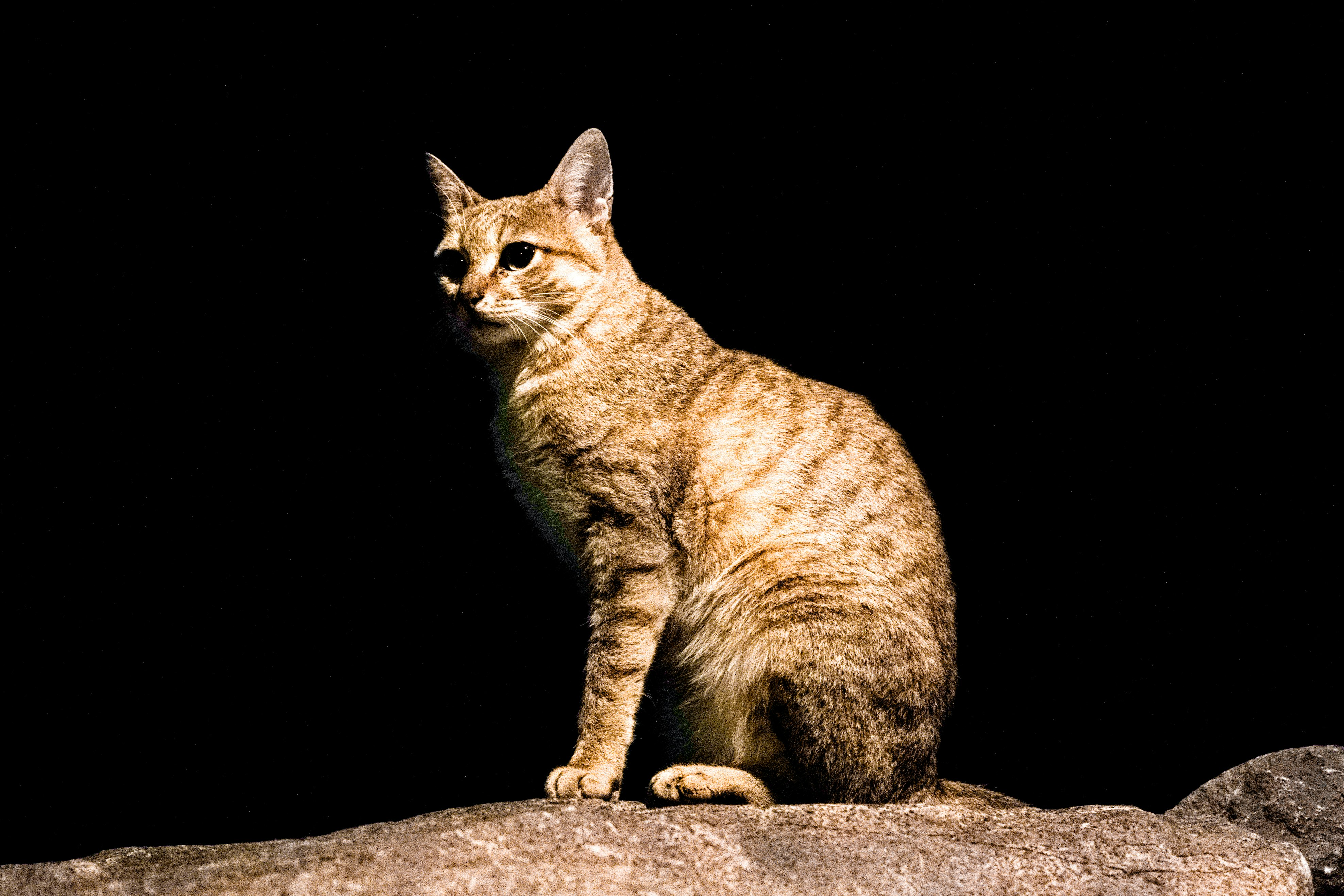 Photo by luanfonsecavisuals