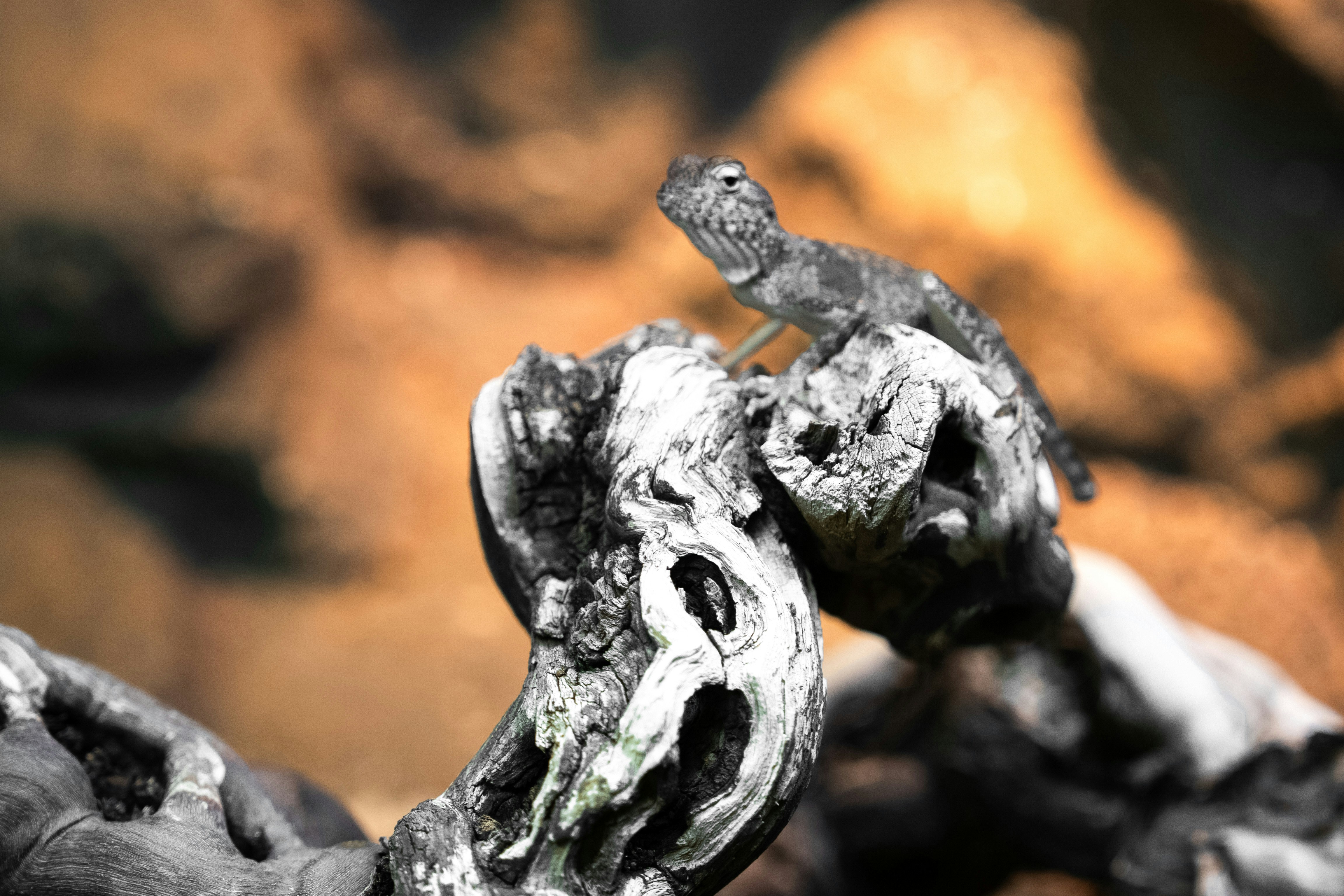 Photo by luanfonsecavisuals